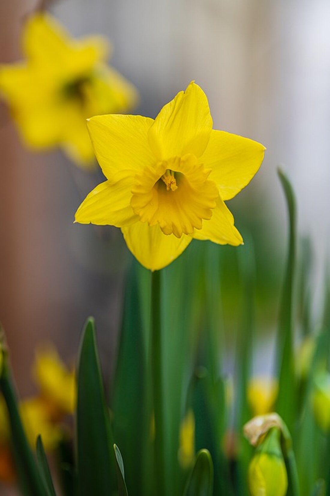 Aktuelle Berichte über die Ereignisse in der Welt finden Sie hier. Bleiben Sie informiert über die neuesten Entwicklungen rund um das Thema Krisen und Herausforderungen. Lesen Sie mehr auf Google News.