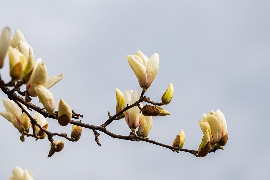 Die neuesten Entwicklungen bei Handelsblatt: Lesen Sie alles über aktuelle Wirtschaftsnachrichten, Analysen und Finanzthemen. Bleiben Sie informiert!