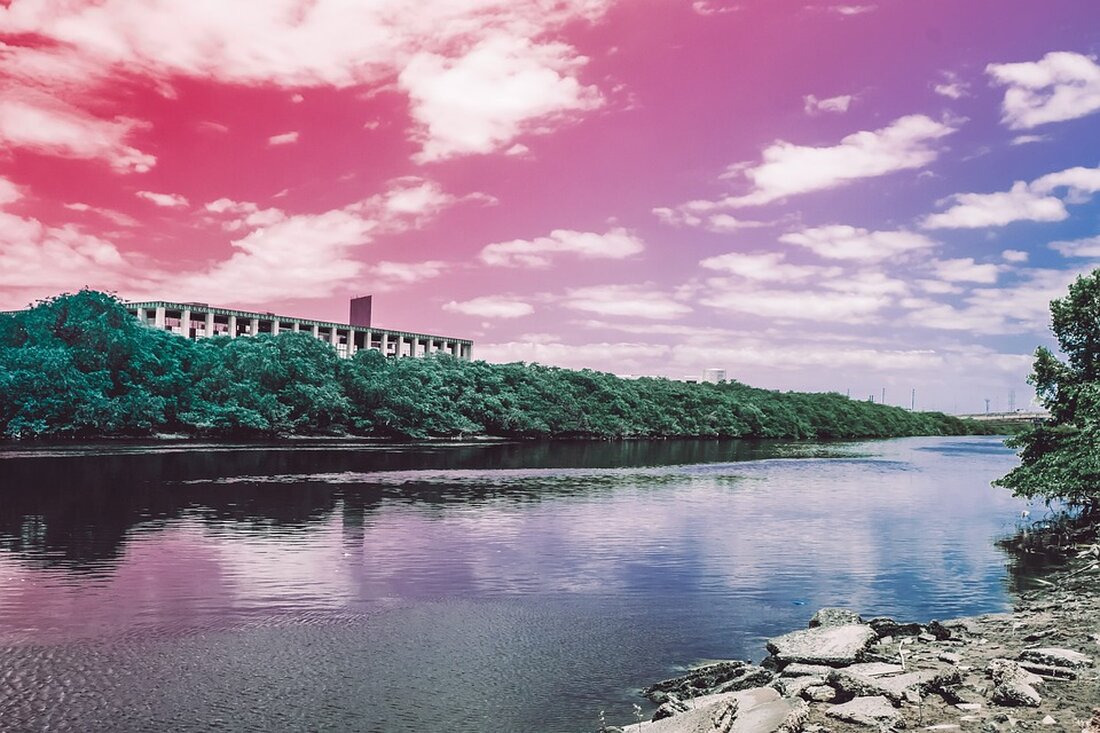 Verbraucherzentrale warnt vor Kostenfalle durch unseriöse Energieberater. Schützen Sie sich vor teuren Empfehlungen und erfahren Sie, wie Sie seriöse Experten finden können.