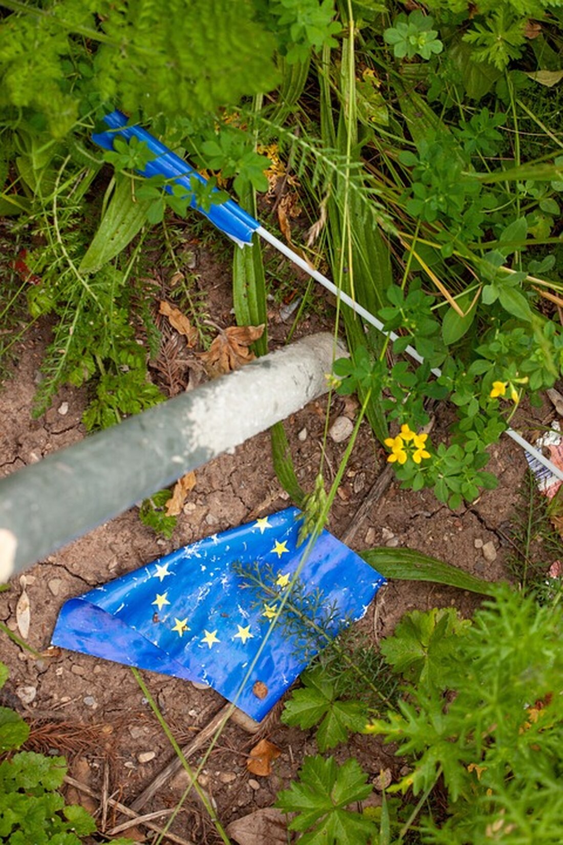 Middelberg (CDU) fordert Wirtschaftswende vor Europawahl: Lindner unter Druck. Union verlangt Umsetzung von FDP-Plan. Konkrete Maßnahmen gefordert.