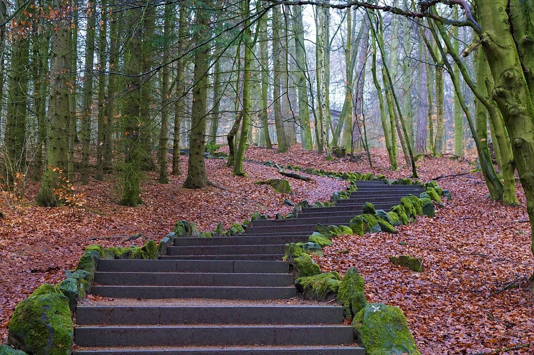 Erfahren Sie, warum sich eine späte Heirat beim Witwengeld nicht auszahlt und wie betroffene Paare in Hessen damit umgehen. Kritik an überholten Regelungen.