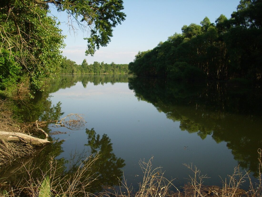 Gemäß einem Bericht von www.ots.at, hat die DONAU Versicherung die Gesamtverzinsung in der klassischen Lebensversicherung sowie für den Deckungsstockanteil in der fondsgebundenen Lebensversicherung auf 2,5 Prozent erhöht. Dies wird auch die prämienbegünstigte Zukunftsvorsorge „Bonus Pension“ betreffen und die Gesamtverzinsung auf 2,25 Prozent anheben. Die Erhöhung der Gesamtverzinsung wird positive Auswirkungen auf die privaten Vorsorgevorsätze der Verbraucher haben. Durch eine höhere Rendite werden die klassischen Lebensversicherungen attraktiver und die private Altersvorsorge wird gestärkt. Insbesondere junge Menschen werden von dieser Entwicklung profitieren, da die demografische Entwicklung sie dazu motiviert, frühzeitig mit der Vorsorge für die Pension zu beginnen. Die steigenden Zinsen und …