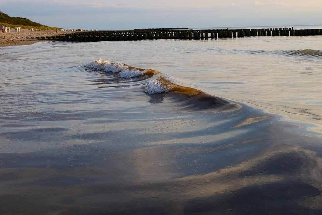 Gemäß einem Bericht von amp.dw.com, demonstrieren Bauern in Deutschland gegen die geplanten Steuererleichterungen für Landwirte. Gleichzeitig zeigen aktuelle Studien, dass die Zahl der Agrarbetriebe in Deutschland bis 2040 um mehr als die Hälfte zurückgehen wird. Kleine Bauernhöfe stehen zunehmend unter Kostendruck und müssen großen industriellen Betrieben weichen. Die Umweltschutzanforderungen, der Fachkräftemangel und die fehlende Nachfolgeregelung belasten die Bauernhöfe zusätzlich. Nische als Chance Laut der Studie der DZ Bank wird die Zahl der Höfe bis 2040 auf etwa 100.000 Betriebe sinken, während die Durchschnittsgröße der Betriebe sich mehr als verdoppeln wird. Die Genossenschaftsidee und Spezialisierungen wie die Öko-Landwirtschaft bieten jedoch Chancen …