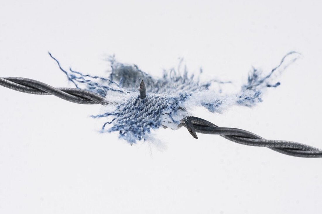 Gemäß einem Bericht von www.topagrar.com, beklagen immer mehr Landwirte Beschädigungen an Maschinen oder Gebäuden durch Unbekannte. Ein besorgter Landwirt aus der Stadtnähe fragt, ob und wie er sich gegen Vandalismus an Maschinen versichern kann. Unser Experte, Heiko Taube, WLV Versicherungsberater, erläutert, dass zulassungspflichtige Maschinen wie Schlepper, Anhänger oder Betriebs-Pkw durch eine Vollkaskoversicherung abgedeckt sind, während nichtzulassungspflichtige Maschinen wie Mähdrescher oder Hoftrac separate Vollkasko- oder Maschinenbruchversicherungen benötigen. Gebäudeschäden wie aufgeschlitzte Siloballen sind in der Regel nicht versichert, aber einige Versicherer haben das Vandalismusrisiko in die Feuerversicherung eingeschlossen. Faktorbasierte Informationen zeigen, dass die steigenden Vandalismusfälle in der Landwirtschaft zu höheren Versicherungskosten und …