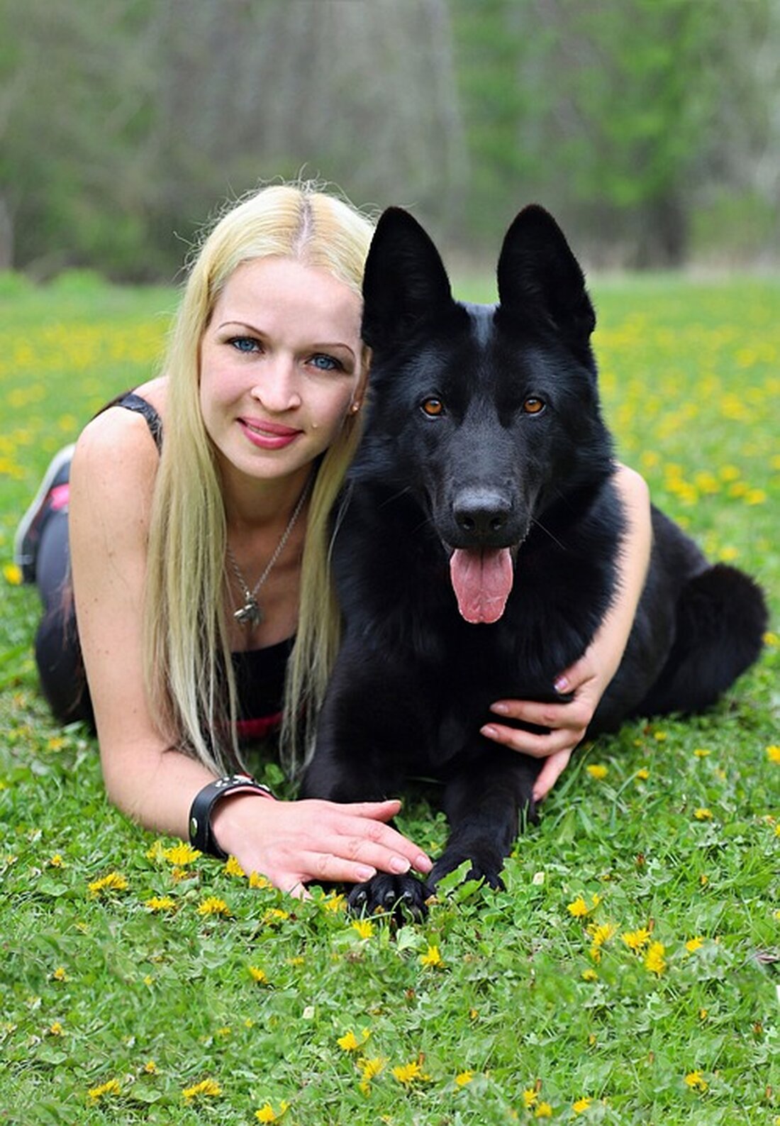 Gemäß einem Bericht von www.shz.de, gibt es derzeit eine Sammelklage gegen Hansewerk Natur wegen angeblich überhöhter Fernwärmepreise. Die Klage betrifft rund 22.000 Haushalte und erreicht eine Gesamtforderung von über 7 Millionen Euro. Es wird behauptet, dass die Preise um bis zu 82% überhöht waren. Als Experte auf dem Gebiet der Energiepreise kann ich aus meiner Erfahrung sagen, dass solche Klagen Auswirkungen auf den Markt und die Verbraucher haben können. Wenn die Klage begründet ist und die überhöhten Preise bestätigt werden, könnte dies zu einer Senkung der Fernwärmepreise für Verbraucher führen. Unternehmen könnten auch gezwungen sein, ihre Preise zu überdenken und …