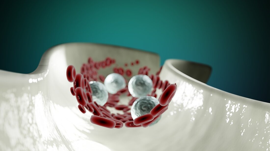 Gemäß einem Bericht von www.finanzen.net, wurde Amazon von der kanadischen Bank RBC auf ihre Empfehlungsliste ‚Top 30 Global Ideas‘ für das erste Quartal 2024 gesetzt. Die fundamentale Einstufung bleibe „Outperform“ mit einem Kursziel von 180 US-Dollar, so Analyst Brad Erickson. Er betonte die Größenvorteile und das branchenführende Cloud-Geschäft des Unternehmens, die für künftiges Wachstum sorgen. Zudem hob er hervor, dass das Management offensiv auf das Thema Künstliche Intelligenz (KI) setze. Diese positive Analyse von RBC hat potenziell Auswirkungen auf den Aktienmarkt und die Verbraucher. Wenn eine renommierte Bank wie RBC Amazon auf ihre Empfehlungsliste setzt, kann dies das Vertrauen der …