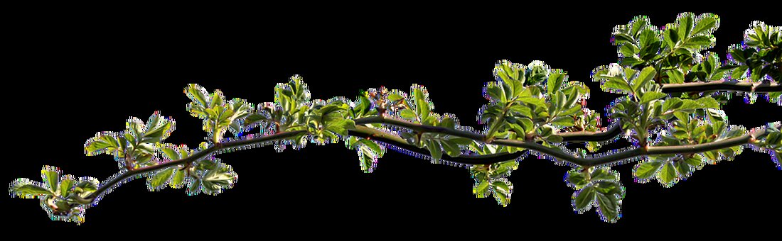 Plug Power hat jüngst für Aufsehen gesorgt, diesmal jedoch in positiver Hinsicht. Am vergangenen Donnerstag konnte die Aktie der Firma einen bemerkenswerten Gewinn verzeichnen und legte an den Börsen um 12,6 % zu. Diese Entwicklung könnte auf den ersten Blick als ein Durchbruch interpretiert werden, doch bei näherer Betrachtung zeigt sich, dass Plug Power weiterhin die Stabilität und die selbstgetragene Dynamik vermissen lässt, nach denen sich Anleger an den Börsen sehnen. Trotz des bemerkenswerten Anstiegs bleibt das Unternehmen hinter den Erwartungen zurück. Die Ursachen des Kursgewinns Anleger zeigen sich erfreut über die jüngsten Kursgewinne von Plug Power, die dazu geführt …