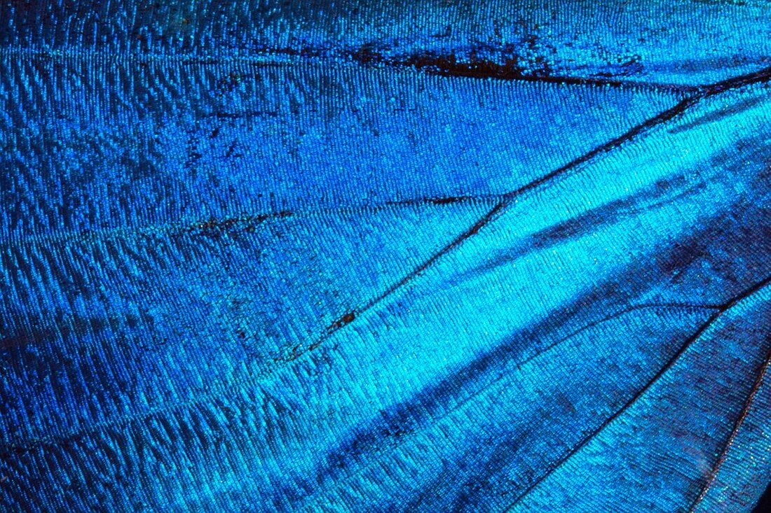 Gemäß einem Bericht von www.berliner-zeitung.de, Amazon Prime Video plant, seinen Kunden die Wahl zu lassen, ob sie zukünftig Werbung beim Streaming sehen möchten oder für knapp drei Euro mehr im Monat werbefrei streamen wollen. Dies stößt auf Widerstand seitens des Verbraucherzentrale Bundesverbands (VZBV), der rechtliche Schritte gegen den Streamingdienst einleiten will. Laut den Verbraucherschützern dürfe Amazon die Kunden nicht einfach vor vollendete Tatsachen stellen und so wesentliche Vertragsänderungen durchsetzen. Die Auswirkungen dieser geplanten Änderung können signifikant sein. Die Einführung von Werbung beim Streaming könnte dazu führen, dass Kunden sich für die werbefreie Option entscheiden und somit mehr Geld zahlen müssen. &hellip;