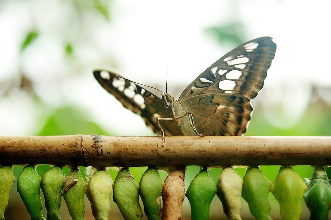 Gemäß einem Bericht von m.ariva.de, liegt der Anteilsschein von Epam Systems (Epam Systems-Aktie) zur Stunde im Plus und notiert bei 262,43 US-Dollar. Der Kurs des Papiers legte um 2,00 Prozent zu, was einem Anstieg von 5,14 US-Dollar entspricht. Die Aktie hat sich heute bislang besser entwickelt als der Gesamtmarkt, der S&P 500 notiert aktuell bei 4.557 Punkten und liegt um 0,06 Prozent im Plus. Das Unternehmen EPAM SYSTEMS, INC. bietet seinen Kunden einen Mehrwert, indem es Software-Engineering mit Business- und Experience-Consulting kombiniert. Die innovative Strategie beinhaltet skalierbare Softwarelösungen, integrierte Beratung, Business Consulting und Experience Design sowie einen sich ständig weiterentwickelnden …