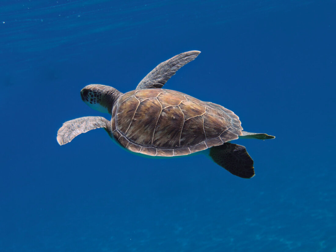 Mit der CSRD und der ESRS kommen für Unternehmen neue Herausforderungen im Bereich der Nachhaltigkeitsberichterstattung zu. Das Ziel dahinter: Die Nachhaltigkeit von Betrieben in der EU deutlich transparenter zu machen und Greenwashing zu vermeiden. Für die Unternehmen selbst bedeuten CSRD und ESRS aber zusätzlichen Aufwand. Daher ist es wichtig, sich bereits jetzt auf die kommenden Änderungen vorzubereiten. Mit einer Wesentlichkeitsanalyse den Ist-Zustand ermitteln Schon ab dem 01.01.2025 müssen alle Unternehmen mit mehr als 250 Mitarbeitern einen Nachhaltigkeitsbericht erstellen. Was für große Konzerne in der EU bereits seit 2024 gilt, betrifft ab dem kommenden Jahr also deutlich mehrere Betriebe. Mit 2026 &hellip;