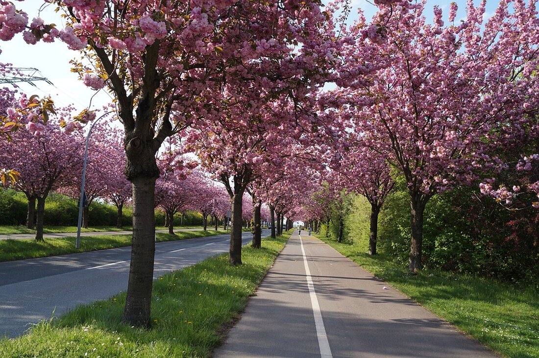 Gemäß einem Bericht von www.stern.de, treibt das Land Sachsen-Anhalt die Gründung des geplanten High-Tech-Parks voran, um die Ansiedlung des Chipherstellers Intel in Magdeburg zu unterstützen. Das Finanzministerium plant, rund 250 Millionen Euro für den Kauf von Flächen und die Übernahme von Verträgen bereitzustellen, um den High-Tech-Park zu schaffen. Die Finanzierung soll über eine Kreditaufnahme erfolgen, mit dem Ziel, den Standort zu einem übergeordneten Strukturprojekt für eine Vielzahl von Investoren zu entwickeln. Die Ansiedlung von Intel in Magdeburg und die Schaffung des High-Tech-Parks könnten positive Auswirkungen auf die Wirtschaft und den Arbeitsmarkt in der Region haben. Investitionen in Höhe von mehr …