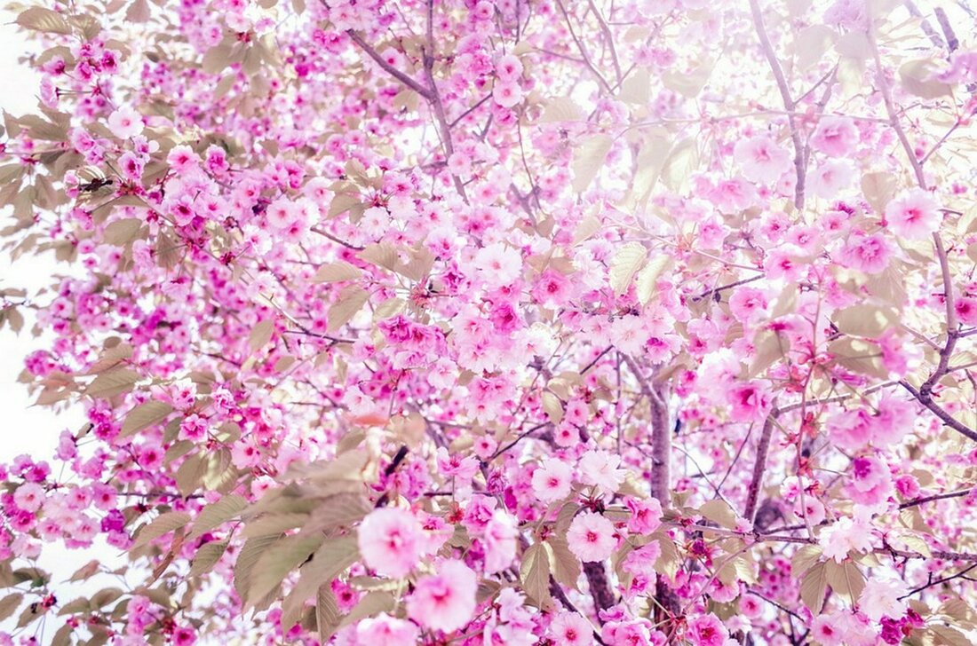 Die Renten-Boomer kommenBaby-Boomer treiben Rentenanträge auf Höchstwert Sie sind die geburtenstärkste Alterskohorte seit 1945: Nun nähern sich einige Babyboomer ihrem 45. Arbeitsjahr &#8211; und haben somit ein Anrecht auf eine vorzeitige und abschlagsfreie Rente mit 63. Damit steigt die Anzahl an Anträgen für diese Rentenart deutlich. Gemäß einem Bericht von www.n-tv.de, ist die Zahl der Anträge auf abschlagsfreie Rente nach 45 Arbeitsjahren in den ersten neun Monaten 2023 stark gestiegen. Bis Ende September gab es bereits 245.289 neue Anträge auf die &#8222;Rente mit 63&#8220;. Das sind 16,8 Prozent mehr als im gleichen Zeitraum des Vorjahres (210.062) und fast so viele &hellip;