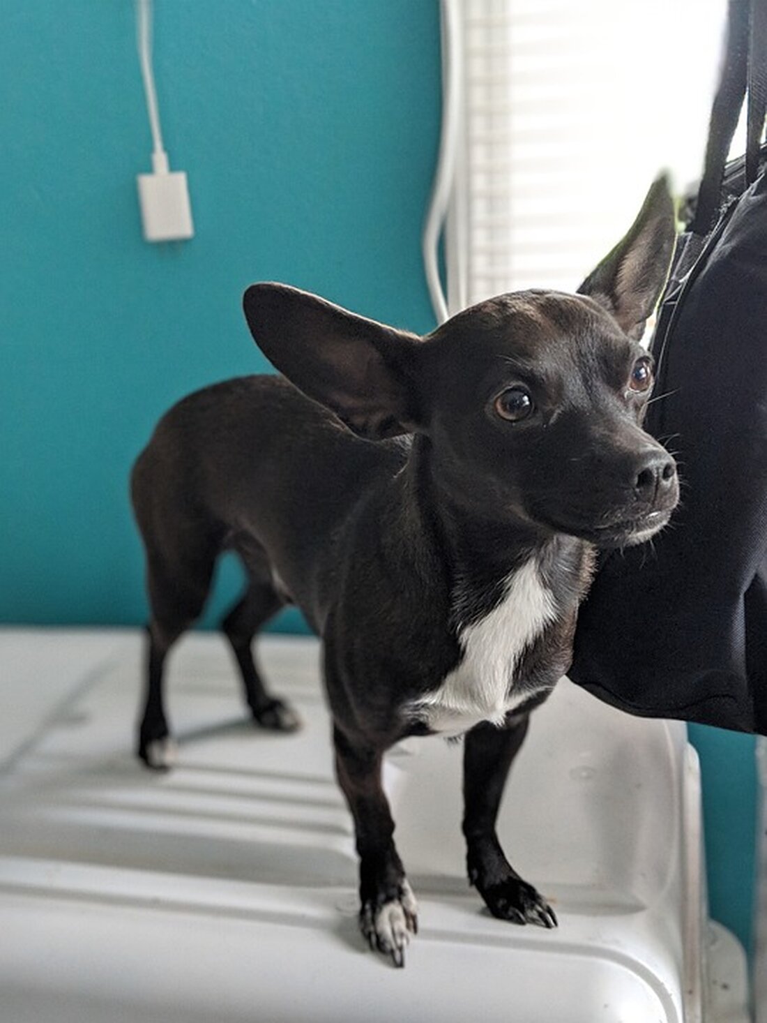 Gemäß einem Bericht von www.esslinger-zeitung.de, Das Gutachten des wissenschaftlichen Beirats des Bundeswirtschaftsministeriums plädiert dafür, dass Deutschland seine Abhängigkeit von anderen Ländern bei kritischen Gütern verringert. Besonders die internationale Lieferkette und der hohe Offenheitsgrad der deutschen Volkswirtschaft zeigen die starke Betroffenheit von Unsicherheiten. Die Fachleute betonen, dass, obwohl die Handelsstatistik keine großen Abhängigkeiten von einzelnen Importländern zeigt, bei wichtigen Rohstoffen das Bild anders aussieht. So stammen Uranerz und wichtige Substanzen für die Pharmaindustrie aus sehr begrenzten Lieferländern. Eine Entkoppelung von Elektronikprodukten und IT-Dienstleistungen aus wichtigen Herkunftsländern würde zu realen Wertschöpfungsverlusten in Milliardenhöhe führen. Die Wissenschaftler warnen jedoch vor politischem Aktionismus und &hellip;