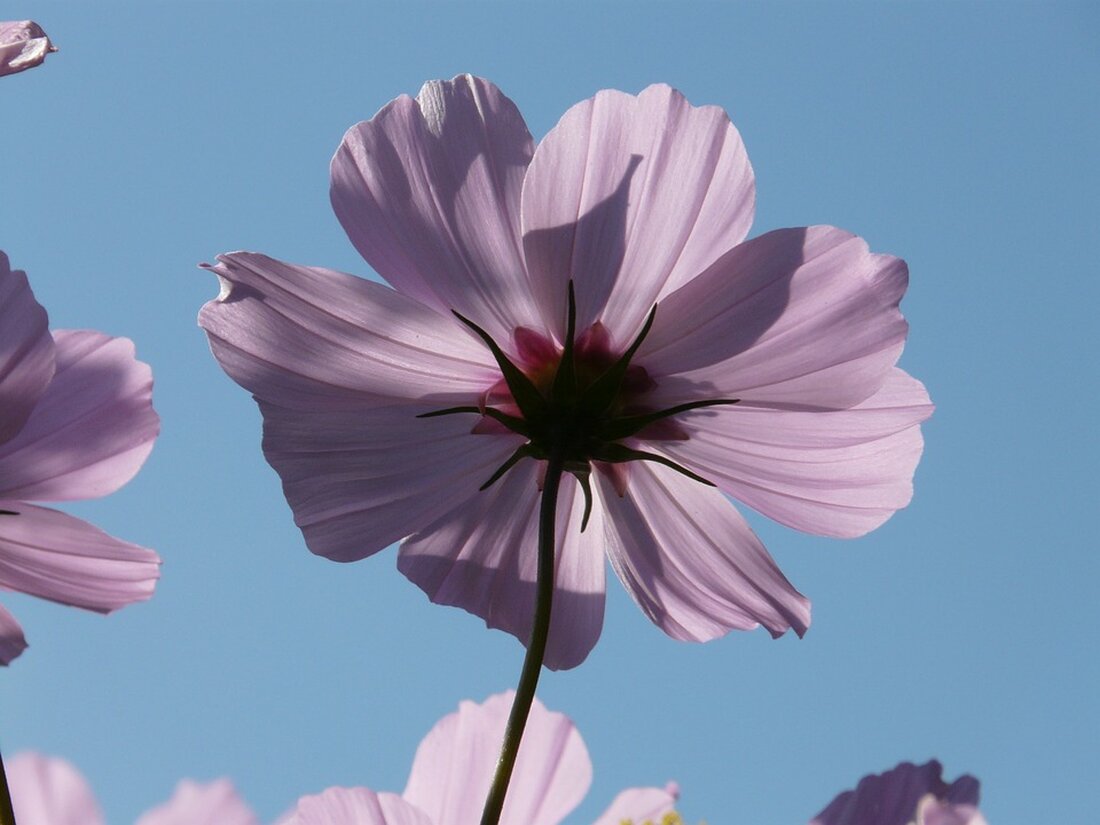 Gemäß einem Bericht von www.finanzen.ch, zeigt sich eine starke Entwicklung der US-Aktienmärkte in den letzten Jahren. Seit Bidens Amtseintritt konnte der S&amp;P 500 bis Ende 2023 um etwa ein Viertel zulegen. Dies ist ein beeindruckendes Wachstum, allerdings fällt es im Vergleich zu anderen Präsidenten wie Donald Trump und Barack Obama teilweise zurück. Die prozentuale Entwicklung des S&amp;P 500 vom letzten Handelstag vor der Amtseinführung bis zum letzten Handelstag des dritten Jahres der Präsidentschaft zeigt, dass unter Joe Bidens Führung eine Steigerung um 25,6 Prozent erfolgte. Im Vergleich dazu konnte in derselben Zeitspanne unter Donald Trump eine Steigerung von 42,7 Prozent &hellip;