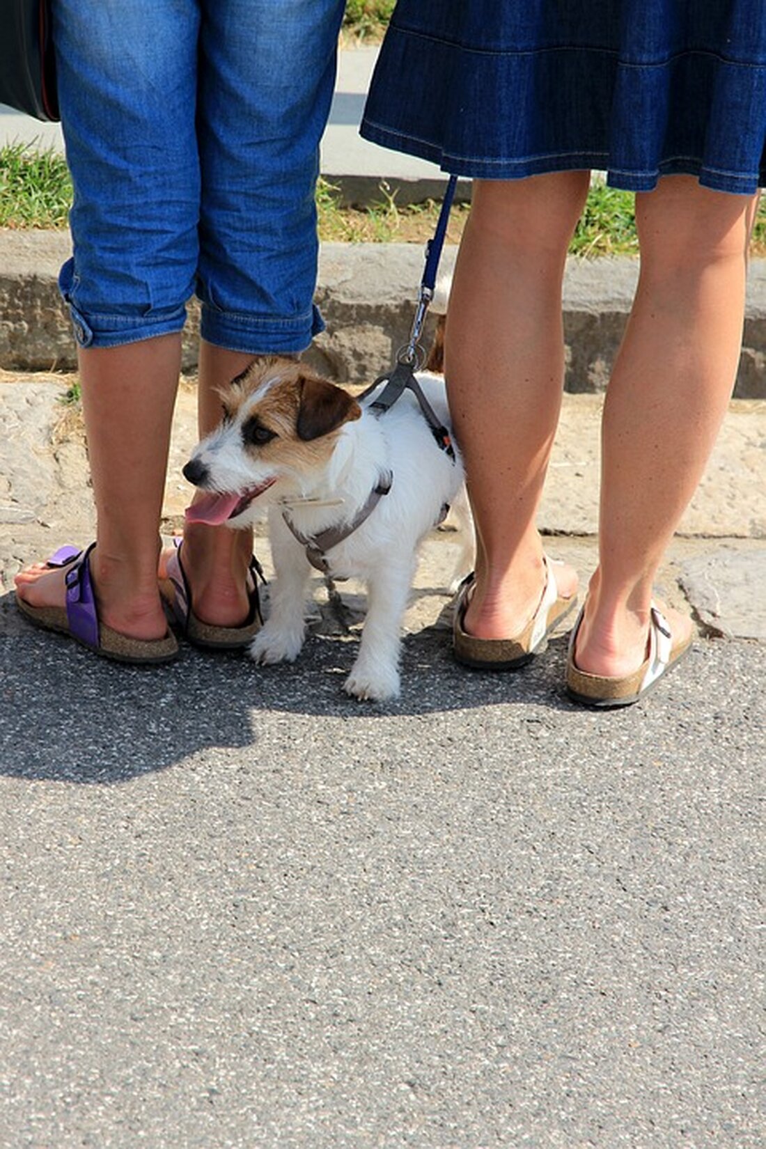 Gemäß einem Bericht von www.rnz.de, hat der Sandalenhersteller Birkenstock bei seinem geplanten Börsengang in New York ein Debakel erlebt. Die Aktie fiel am ersten Handelstag um fast 13 Prozent unter den Ausgabepreis, und auch am zweiten Tag setzte sich die Talfahrt zunächst fort. Dieses Scheitern ist kein Einzelfall, da es schon anderen Unternehmen ähnlich ergangen ist. Die Probleme von Birkenstock könnten zum Teil auf die hohe Bewertung des Unternehmens zurückzuführen sein. Ein zu hoher Ausgabepreis kann Anleger abschrecken und dazu führen, dass die Aktie unter Druck gerät. Zudem spielen auch Marktfaktoren und das allgemeine Investorenverhalten eine Rolle. Als Finanzexperte ist …
