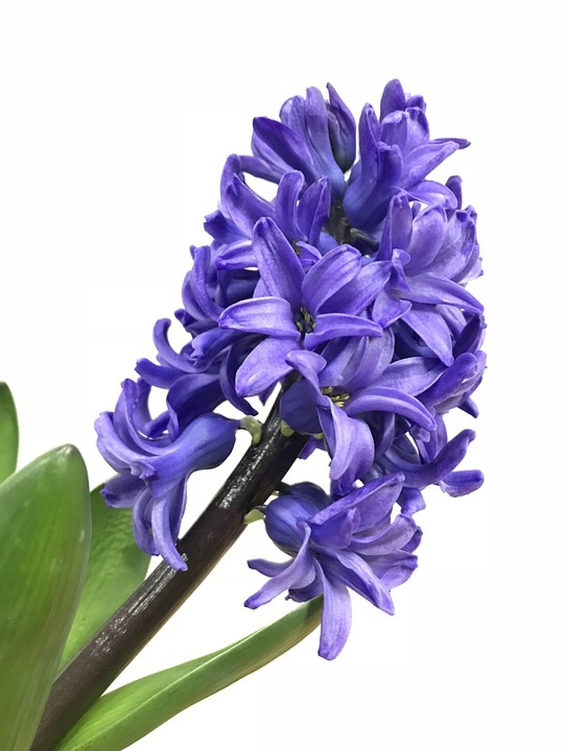 Gemäß einem Bericht von www.boerse-online.de, sind Aktien aus dem Sektor erneuerbare Energien 2023 extrem stark abgestraft worden. Hintergrund ist primär die erhöhte Zinsaufwendung für viele Unternehmen und auslaufende Förderungen. Trotzdem bleibt es schwierig nachvollziehbar, weshalb Werte wegen solcher Probleme teilweise ähnlich gepreist werden wie auslaufende Geschäftsmodelle (Öl, Gas), obwohl erneuerbare Energie die politisch gewollte Zukunft sein sollen. Vor diesem Hintergrund kann es sich lohnen, einen Blick auf spannende Aktien aus diesem Sektor zu werfen und eventuelle Einstiegsgelegenheiten zu nutzen. Ein interessanter Wert ist dabei Brookfield Renewable. Besonders spannend ist das Unternehmen nicht nur als einer der größten Energieerzeuger von grünem …