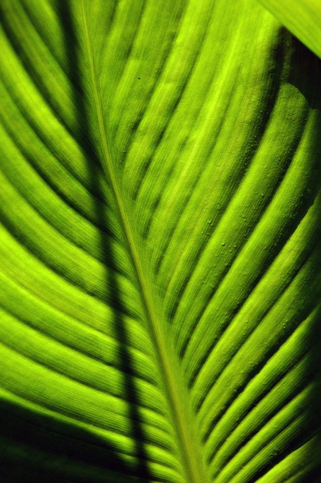 Gemäß einem Bericht von stock3.com, hat der Netzwerkausrüster Cisco gestern seine Quartalszahlen veröffentlicht und einen enttäuschenden Ausblick gegeben, was zu einem starken Kurseinbruch führte. Die Aktie verlor mehr als 10% und fiel bis auf 46,20 USD, konnte sich aber im frühen Freitagshandel wieder leicht erholen. Der Artikel diskutiert die Frage, ob der starke Kursrückgang eine Kaufgelegenheit für Anleger darstellt. Die Autoren weisen darauf hin, dass die Aktie möglicherweise bereits den großen Unterstützungsbereich erreicht hat und das Handelsvolumen gestern überdurchschnittlich hoch war, was darauf hindeutet, dass viele potenzielle Verkäufer bereits ausgestiegen sind. Dennoch gibt es auch Widerstände in Form von Gapkanten &hellip;