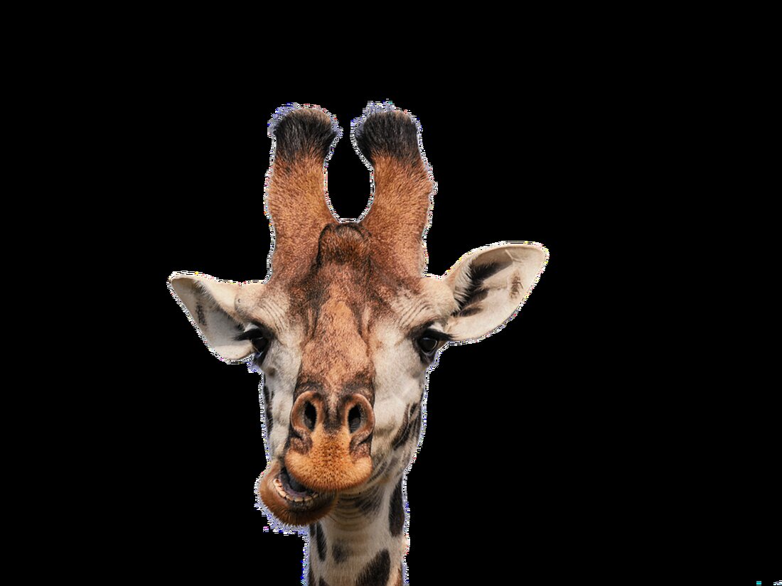 < div> Gemäß einem Bericht von www.lz.de, Die Chefin des Bundesverbands der Verbraucherzentralen fordert mehr Transparenz und Regulierung. Oetker verweist auf steigende Kosten für Personal und Logistik. Als Finanzexperte sehe ich die steigenden Kosten für Personal und Logistik bei Oetker als ein Zeichen für mögliche Auswirkungen auf die Inflation. Wenn Unternehmen höhere Kosten haben, kann dies zu Preiserhöhungen führen, um die Gewinnmargen aufrechtzuerhalten. Diese Preiserhöhungen können sich dann auf die Inflationsrate auswirken, da Verbraucher mehr für Produkte und Dienstleistungen zahlen müssen. Die Forderung nach mehr Transparenz und Regulierung durch den Bundesverband der Verbraucherzentralen zeigt, dass Verbraucher besorgt über die steigenden …