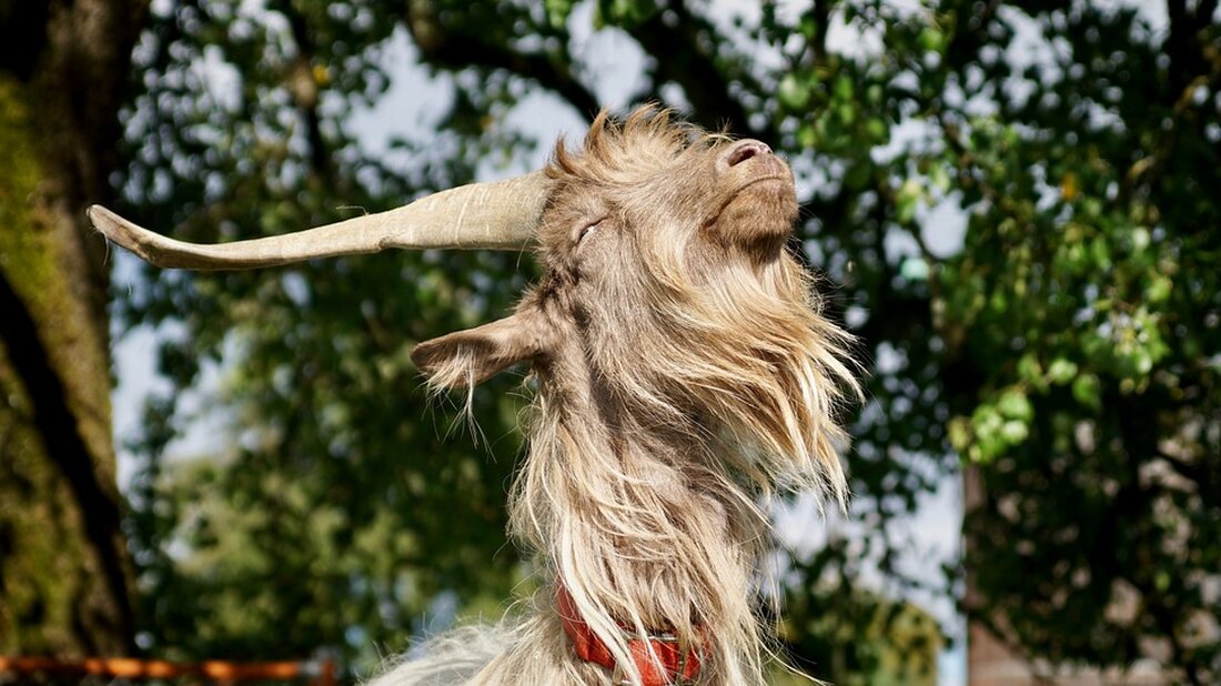 Gemäß einem Bericht von www.finanznachrichten.de, In einem dynamischen Markt wie dem digitalen Währungsmarkt kann die Einführung neuer Meme Coins innerhalb kürzester Zeit zu raschen Kursentwicklungen führen. Der Artikel berichtet über die aktuelle Aufmerksamkeit, die der Meme Coin ANALOS erregt und die Herausforderungen, mit denen seine Entwickler konfrontiert sind. Durch die dreimalige Sperrung ihres X-Accounts ist das Vertrauen der Anleger massiv geschwächt worden, was zu einem drastischen Kurseinbruch geführt hat. Dennoch gibt es Spekulationen über eine mögliche Erholung. Darüber hinaus wird auch der neue SPONGE V2 Token als vielversprechend dargestellt, da sein Vorgänger bereits Erfolge verzeichnen konnte. Die aktuellen Probleme mit &hellip;