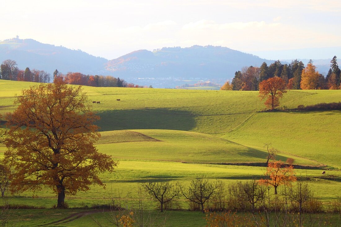 Gemäß einem Bericht von www.nw.de, ist der Steinhagener Hof Windmann ein fast 250 Jahre altes Ensemble mit fünf Häusern auf einem 9.000 Quadratmeter großen Anwesen. Die erfahrene Immobilienmaklerin Petra Käuper hat den traditionsreichen Hof gemeinsam mit zwei Partnern gekauft und plant, ein Wohnprojekt zu realisieren. Jedes Gebäude soll einzeln verkauft werden, um den Bewohnern ein eigenes Wohnkonzept zu ermöglichen. Dabei werden traditionelle Elemente wie Lehmputz und offene Balken verwendet, um Gemütlichkeit zu schaffen. Der gesamte Hof steht unter Denkmalschutz, was laut der Projektmanagerin als Vorteil genutzt werden kann. Es werden Interessenten für das Herrenhaus, ein Landarbeiterhaus und weitere Wohnungen gesucht, …