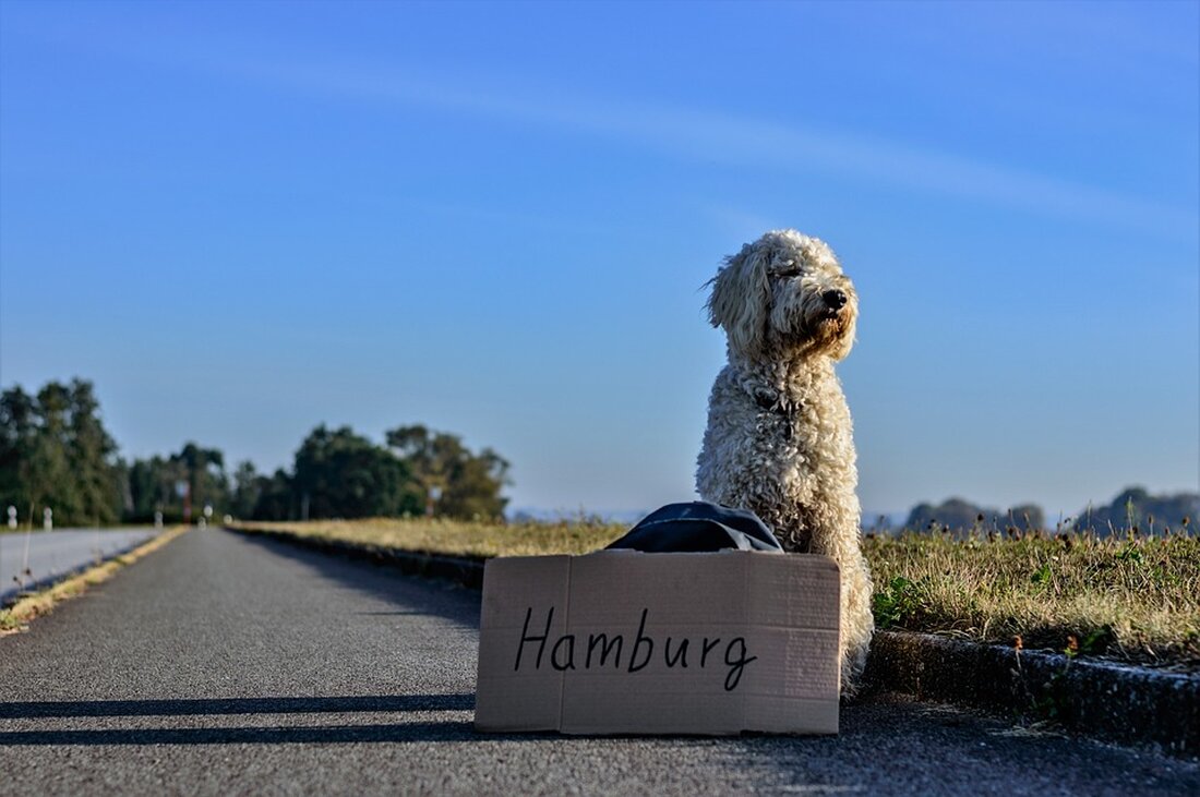 Kein Text gefunden.