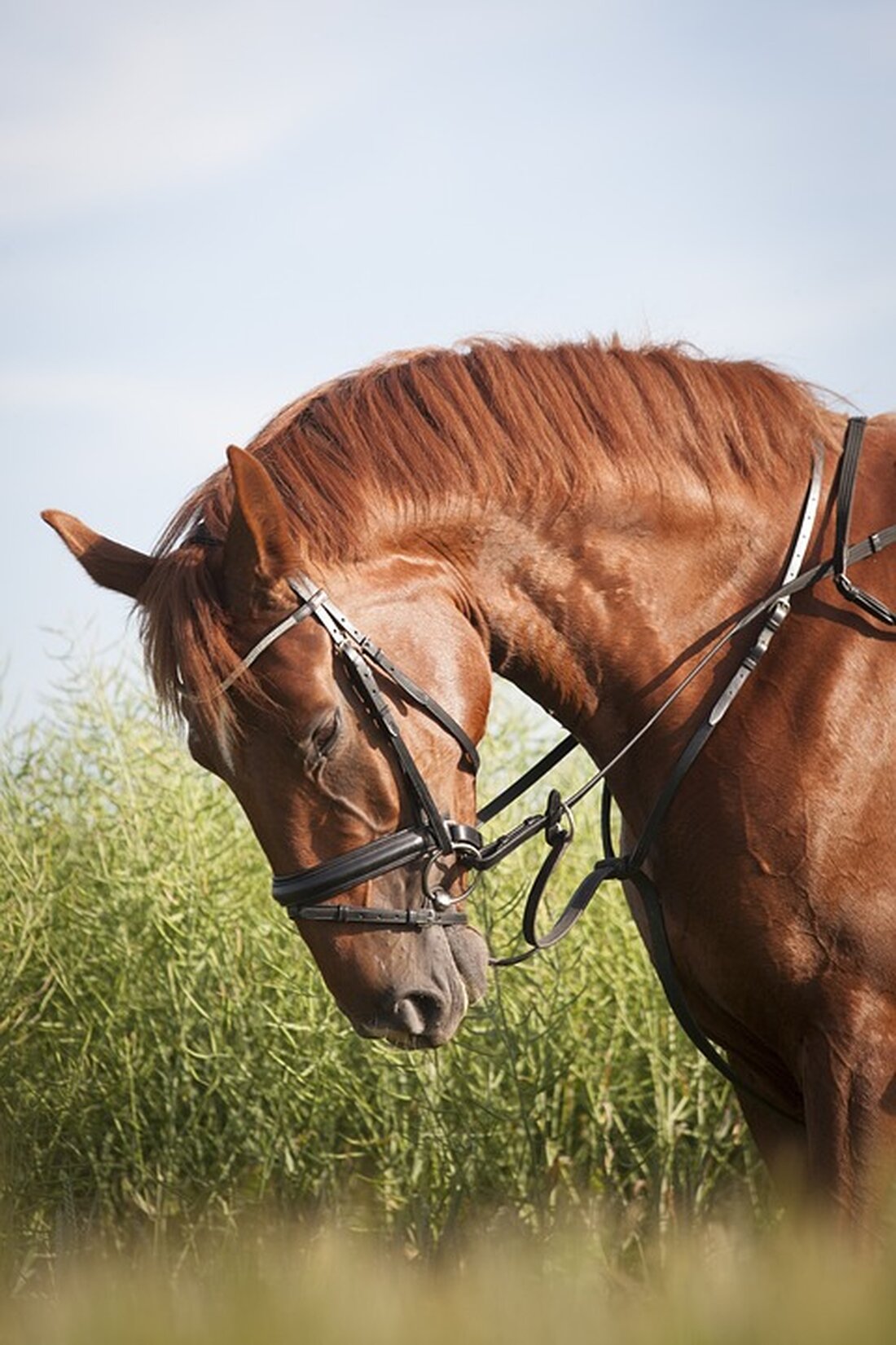 Gemäß einem Bericht von amp.infranken.de, steigen die Lebensmittelpreise und werden voraussichtlich nicht günstiger. Die gestiegenen Preise für Lebensmittel sind auf verschiedene Faktoren wie Energie- und Stromkosten, Düngemittel- und Futtermittelpreise sowie einen Mangel an Arbeitskräften in der Landwirtschaft zurückzuführen. Diese Faktoren haben auswirkungen auf die Kostenstruktur der Lebensmittelwirtschaft und führen zu Preisanstiegen. Die Verbraucherzentrale weist jedoch darauf hin, dass nicht alle Preissteigerungen bei Lebensmitteln gerechtfertigt sind. Die Auswirkungen der steigenden Preise sind besonders für Menschen mit niedrigem Einkommen, Empfänger staatlicher Grundsicherungsleistungen, Rentner, Studenten und Auszubildende spürbar. In Zukunft ist nicht davon auszugehen, dass die Lebensmittelpreise auf ein niedrigeres Niveau zurückkehren werden. …