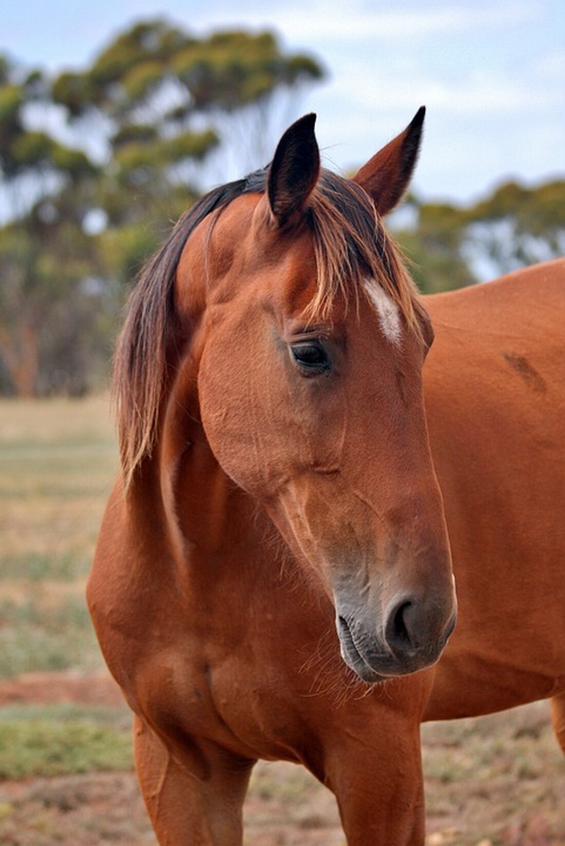 Wie amp.infranken.de berichtet, kannst du durch einen Vertragswechsel deiner Kfz-Versicherung aufs Jahr hochgerechnet bis zu einem Drittel an Geld sparen. Der wichtigste Punkt im Vertrag ist dabei die Selbstbeteiligung. Geld sparen durch einen hohen Selbstanteil Je höher deine Selbstbeteiligung innerhalb deiner Kfz-Versicherung ist, desto niedriger der monatliche Betrag. Eine sinnvolle Selbstbeteiligung liegt laut Experten bei 150 bis 300 €. Durch eine Selbstbeteiligung von 150 € kannst du durchschnittlich deinen monatlichen Gesamtbetrag für die Versicherung um 21 % reduzieren. Bei 300 € sind es sogar 28 %. Versicherer haben dadurch den Vorteil, dass kleinere Schäden abgegeben werden und Reparaturkosten sowie Bearbeitungsfälle &hellip;