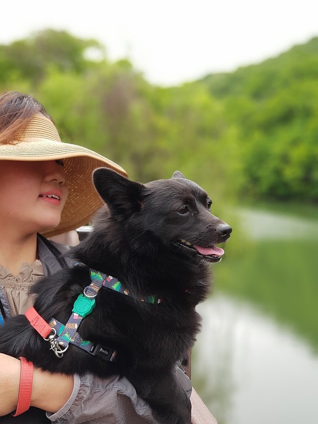 Gemäß einem Bericht von www.boerse-online.de, Ein Experte sagt voraus, dass der S&P 500 im nächsten Jahr fast sein altes Allzeithoch erreichen wird, aber danach zweistellig abstürzen wird. Er nennt auch einen konkreten Zeitpunkt, wann es passieren wird. Dies könnte für Anleger eine einmalige Gelegenheit darstellen, ihre Investitionen zu timen. Laut einer neuen Mitteilung der Société Générale sollen sich Anleger auf ein volatiles Jahr 2024 einstellen. Im ersten Quartal des Jahres wird der S&P 500 voraussichtlich auf 4.750 Punkte steigen und damit deutlich nahe an sein Allzeithoch von 4.796 Punkten aus Januar 2022 herankommen. Allerdings wird Mitte 2024 ein Rückgang um …