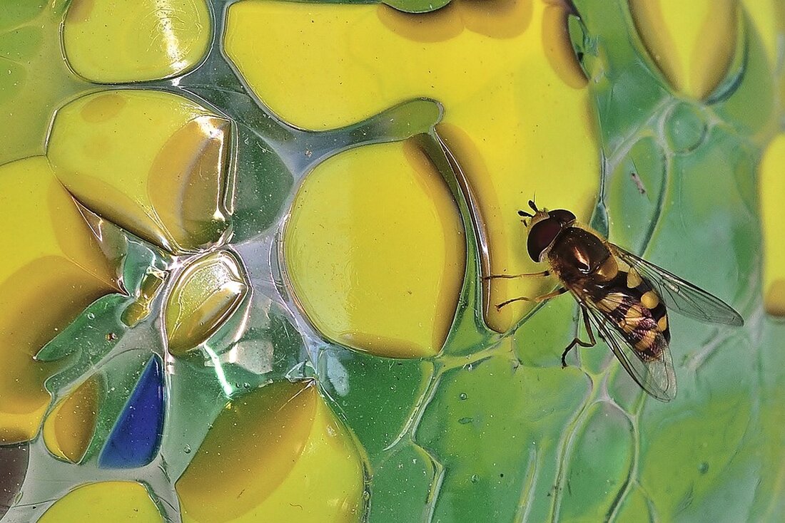 Gemäß einem Bericht von www.zeit.de, Die Ampelregierung plant für das Jahr 2024 radikale Ausgabenkürzungen und Einnahmesteigerungen, um die Schuldenbremse weiterhin einzuhalten. Dieser Schritt wird als Teil eines neuen Bundeshaushalts angesehen, der trotz des Urteils des Bundesverfassungsgerichts die Sparpolitik fortsetzen soll. Dieser Ansatz wird von einigen Experten als wirtschaftspolitischer Fehltritt betrachtet, der zu einer Phase der wirtschaftlichen Stagnation führen könnte. Eine aktuelle Studie eines renommierten Wirtschaftsexperten, Tom Krebs, hält jedoch ein grünes Wirtschaftswunder für möglich und zeigt, wie dies erreicht werden kann. Die geplante Sparpolitik und Ausgabenkürzungen könnten kurzfristig dazu führen, dass die öffentlichen Investitionen zurückgehen und der Konsum gedämpft wird. …