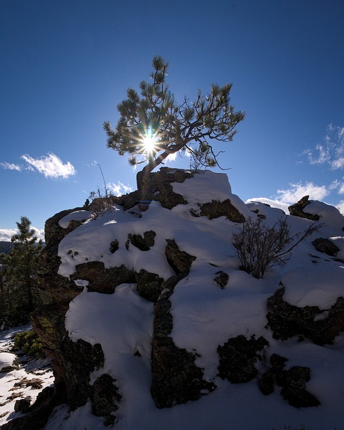 Gemäß einem Bericht von finanzmarktwelt.de, prognostiziert Jeffrey Gundlach, Chef von DoubleLine Capital, dass die Rendite 10-jähriger US-Staatsanleihen im nächsten Jahr voraussichtlich in den niedrigen 3 %-Bereich sinken wird. Er reagierte auf die Entscheidung der Federal Reserve, die Leitzinsen unverändert zu lassen und Zinssenkungen in Aussicht zu stellen. Gundlach geht davon aus, dass die Renditekurve de-invertieren wird und die Anleihekurse weiter steigen werden. Er erwartet, dass die Federal Reserve im nächsten Jahr die Zinsen um 200 Basispunkte senken wird und warnt vor einer weiteren Lockerung der Geldpolitik. Die Auswirkungen dieser Prognose können weitreichend sein. Sinkende Renditen bei Staatsanleihen führen zu niedrigeren …