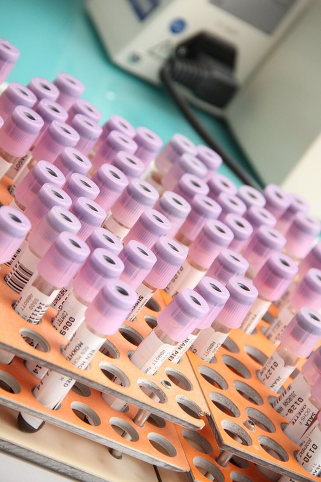 Gemäß einem Bericht von www.tichyseinblick.de, hat sich der deutsche Wirtschaftsminister Robert Habeck zum Jahresanfang 2023 positiv zur Strombilanz geäußert. Er verkündete stolz, dass erstmals die 50-Prozent-Marke bei den Erneuerbaren Energien geknackt wurde und die Kohleverstromung auf den tiefsten Stand seit den fünfziger Jahren gesunken ist. Allerdings zeigen diverse Fakten, dass diese Jubelmeldung nicht ausschließlich auf den Ausbau der erneuerbaren Energien zurückzuführen ist. Die Reduzierung des deutschen CO2-Ausstoßes um 73 Millionen Tonnen lag zu 50 Prozent am Wirtschaftsrückgang und nur zu 15 Prozent am Ausbau von Solar- und Windkraftanlagen. Die politisch verursachte Wirtschaftsrezession in Deutschland führte zu einem Rückgang des Stromverbrauchs &hellip;