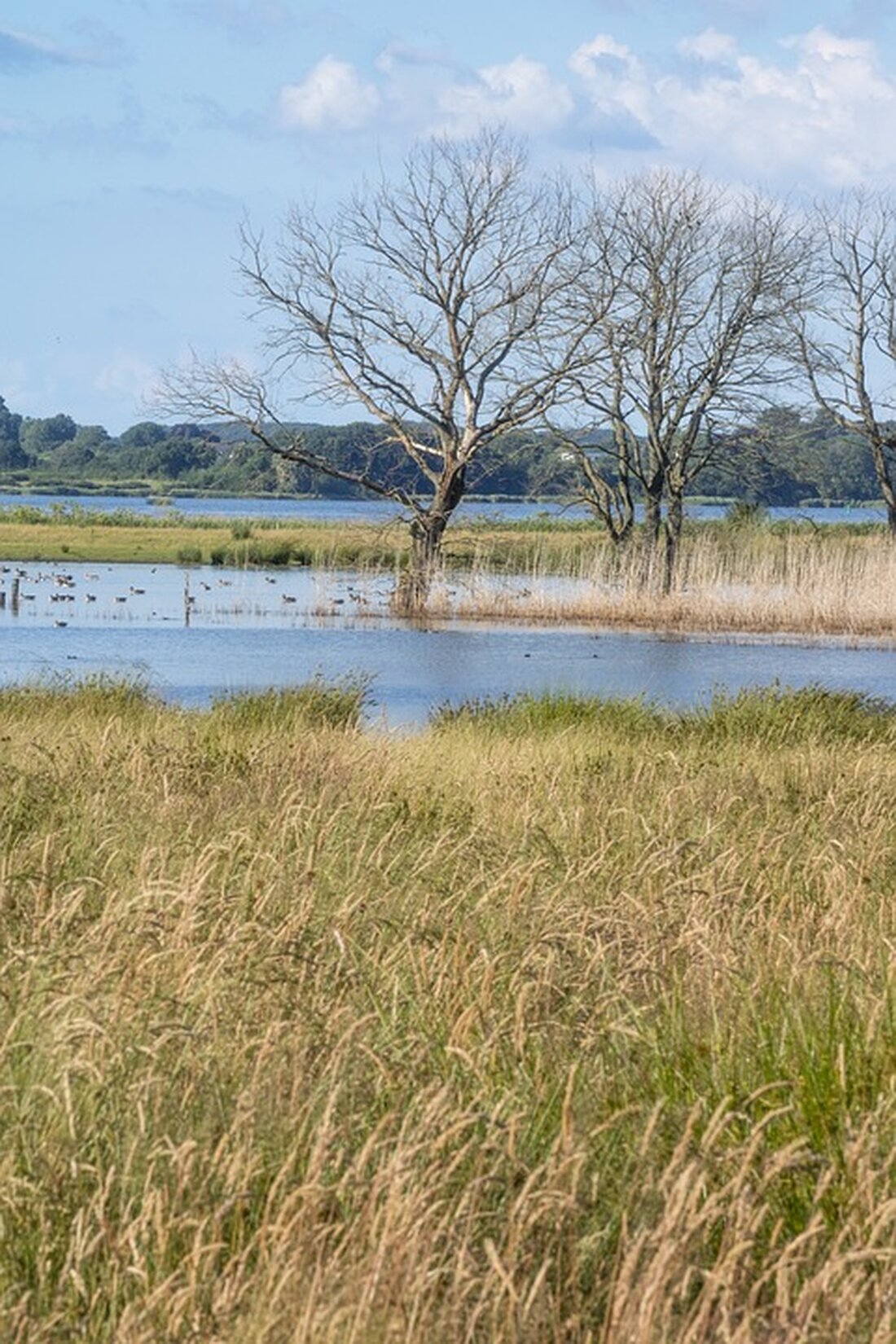 Gemäß einem Bericht von www.fr.de, hat die Ampel-Regierung beschlossen, den Bundeszuschuss für die Rentenversicherung um 600 Millionen Euro zu kürzen. Dies sorgt für scharfe Kritik seitens der Präsidentin der Deutschen Rentenversicherung, Gundula Roßbach, die darauf hinweist, dass die Beitragszahler bereits einen Puffer für die anstehenden demografischen Herausforderungen geschaffen haben und der Bund nicht zu seinem Finanzierungsanteil steht. Die Entscheidung könnte langfristig gesehen dazu führen, dass die Nachhaltigkeitsrücklage abgebaut werden müsste, was wiederum zu einer Anhebung des Beitragssatzes für die Rentenversicherung führen würde. Die Kürzung des Bundeszuschusses für die Rentenversicherung wird voraussichtlich langfristige Auswirkungen auf den deutschen Markt und die Finanzbranche &hellip;