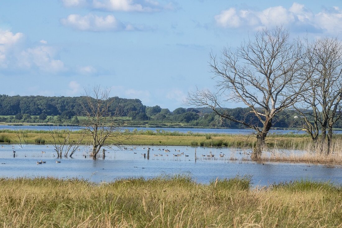 Gemäß einem Bericht von www.badische-zeitung.de, hat eine Steuerexpertin des Bundesfinanzministeriums auf Veranstaltungen Steuertricks für Vermögende verraten. Gerda Hofmann, die im Bundesfinanzministerium das Referat für Erbschaft-, Schenkung-, Vermögen-, Grund- und Grunderwerbsteuer leitet, hat laut ZDF-Bericht im Juni auf einer Veranstaltung der Anwaltskanzlei Flick Gocke Schaumburg (FGS) Tipps zur Steuervermeidung gegeben. Das Bundesfinanzministerium prüft nun „dienstrechtliche Konsequenzen“ gegen Hofmann. Es ist bekannt, dass Hofmann auf der FGS-Veranstaltung für Berater von Reichen und Unternehmern nicht in „dienstlicher Eigenschaft“ sprach. Dennoch hat sie exklusives Wissen geteilt und Steuervergünstigungen sowie -vermeidungstipps preisgegeben. Auch in der Vergangenheit ist Hofmann schon bei ähnlichen Veranstaltungen aufgetreten, die sich …