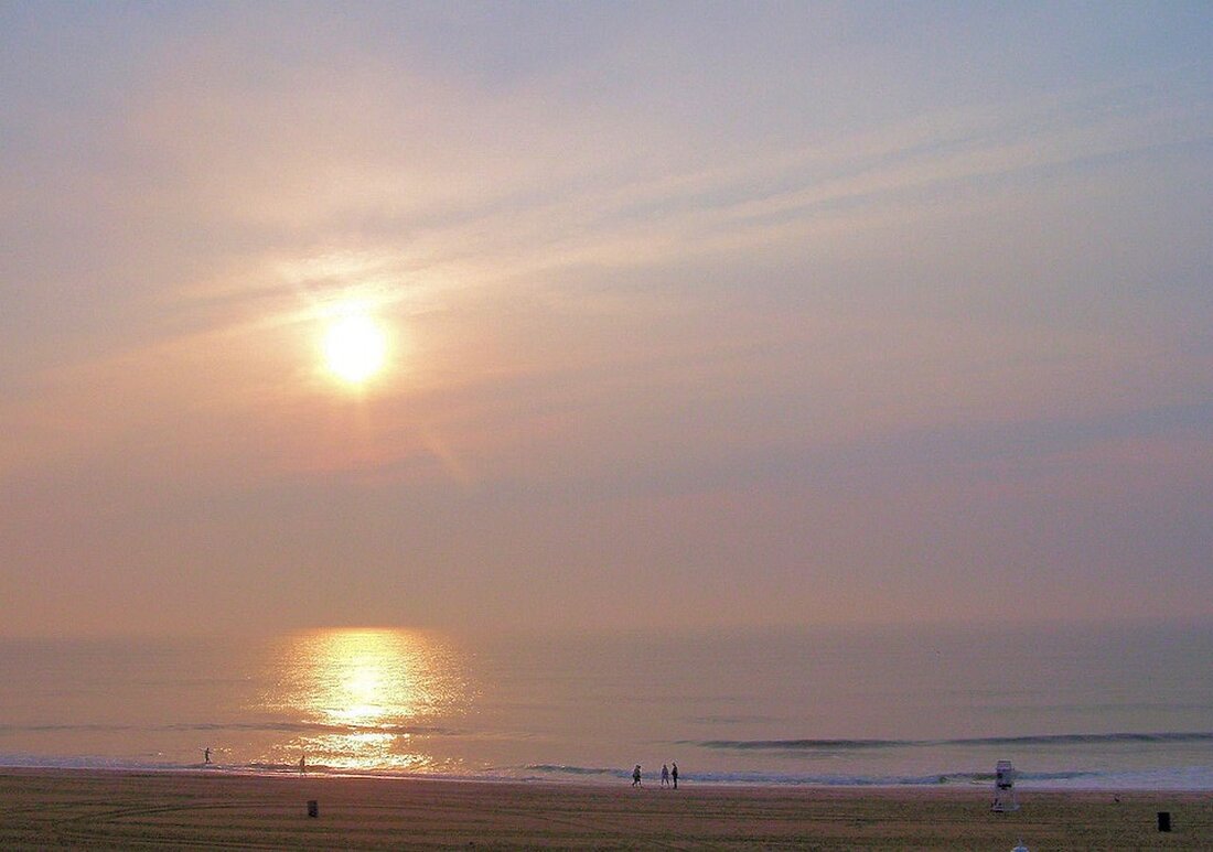 Gemäß einem Bericht von www.tagesschau.de, Die Deutschen konsumieren laut Angaben des Deutschen Fruchthandelsverbands aufgrund der gestiegenen Preise weniger Obst und Gemüse. Der pro-Kopf-Konsum in Deutschland liegt unter der Empfehlung der Weltgesundheitsorganisation, was auf die höheren Preise zurückgeführt wird. Die Nahrungsmittelpreise sind im Jahresvergleich erneut überdurchschnittlich um 3,8 Prozent gestiegen. Die Unternehmen in der Branche klagen nicht nur über die Inflation, sondern auch über zu viel Bürokratie. Die deutschen Haushalte haben in den vergangenen Monaten aufgrund der gestiegenen Preise weniger frisches Obst und Gemüse konsumiert. Der pro-Kopf-Verzehr von 287 Gramm liegt deutlich unter der von der WHO empfohlenen Menge von 400 …