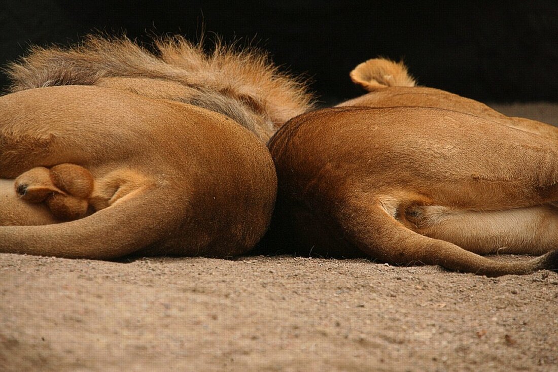 Rechtsprofessor Thomas Geiser fordert die Abschaffung der Geschlechterunterscheidung im Pass, um Gleichstellung zu fördern.