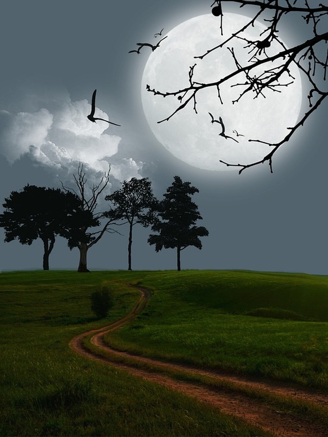 Gemäß einem Bericht von www.tagesschau.de, ist es den Tech-Konzernen trotz des Inkrafttretens des Digital Services Act (DSA) in Europa immer noch erlaubt, Verhaltensmuster durch Design-Tricks auszunutzen. Große Internetkonzerne wie Amazon, Booking.com, Google Shopping und YouTube nutzen weiterhin illegale Design-Tricks („Dark Patterns“), um Verbraucherinnen und Verbraucher zu manipulieren. Der DSA, der im August 2023 in Kraft trat, sollte dafür sorgen, dass Hass und Hetze im Netz schneller gelöscht werden und illegale Inhalte von den Usern gemeldet werden können. Außerdem verbietet es den großen Online-Plattformen, menschliche Verhaltensmuster durch Design-Tricks auszunutzen, wie beispielsweise durch Farbgestaltung von Buttons oder lange Klickwege. Trotzdem hat sich …