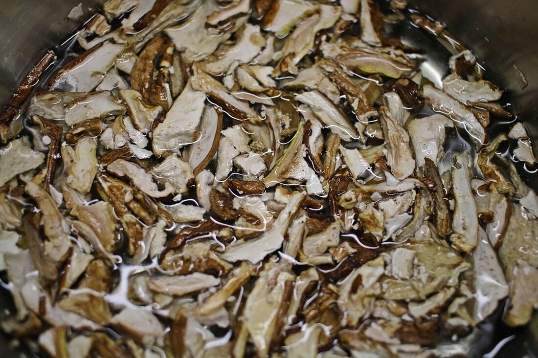 Gemäß einem Bericht von amp2.wiwo.de, schlagen die Wirtschaftsweisen vor, die Schuldenbremse aufzuweichen und mehr Zeit für die Einhaltung der Regelgrenze der strukturellen Neuverschuldung zu geben. Diese Vorschläge könnten vor allem bei der SPD und den Grünen auf Zustimmung treffen. Konkret bedeutet dies, dass die Regelgrenze für die strukturelle Neuverschuldung angehoben werden soll, abhängig vom Verschuldungsgrad. Zudem soll das Verfahren für die Berechnung des strukturellen Defizits methodisch reformiert werden, um den konjunkturell notwendigen Finanzbedarf besser abzubilden. Die Auswirkungen könnten bedeuten, dass die Zinsen der zusätzlichen Schulden von künftigen Generationen mit höheren Steuern aufkommen müssen. Dies kann zu einer Belastung der Wirtschaft …