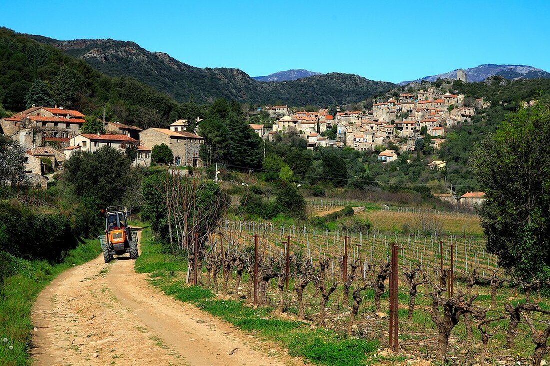 Gemäß einem Bericht von www.boerse-online.de, Analysten von BMO Capital Markets raten Investoren dazu, im Januar schlecht gelaufene Aktien einzusammeln, da diese statistisch gesehen im Rest des Jahres eine Outperformance gegenüber dem Gesamtmarkt aufweisen könnten. Dies ist aufgrund des Abverkaufs nach der Jahresendrallye besonders relevant, da in diesem Jahr viele Aktien eine schlechte Performance gezeigt haben. Die Analysten haben eine Liste von 25 Werten aus dem S&P 500 zusammengestellt, die als besonders spannend für Anleger gelten. Diese Liste umfasst Unternehmen aus verschiedenen Branchen, die in unterschiedlichen Situationen zu beobachten sind. Beispielsweise ist die Booking Holdings in eine Konsolidierung nach der Rallye …