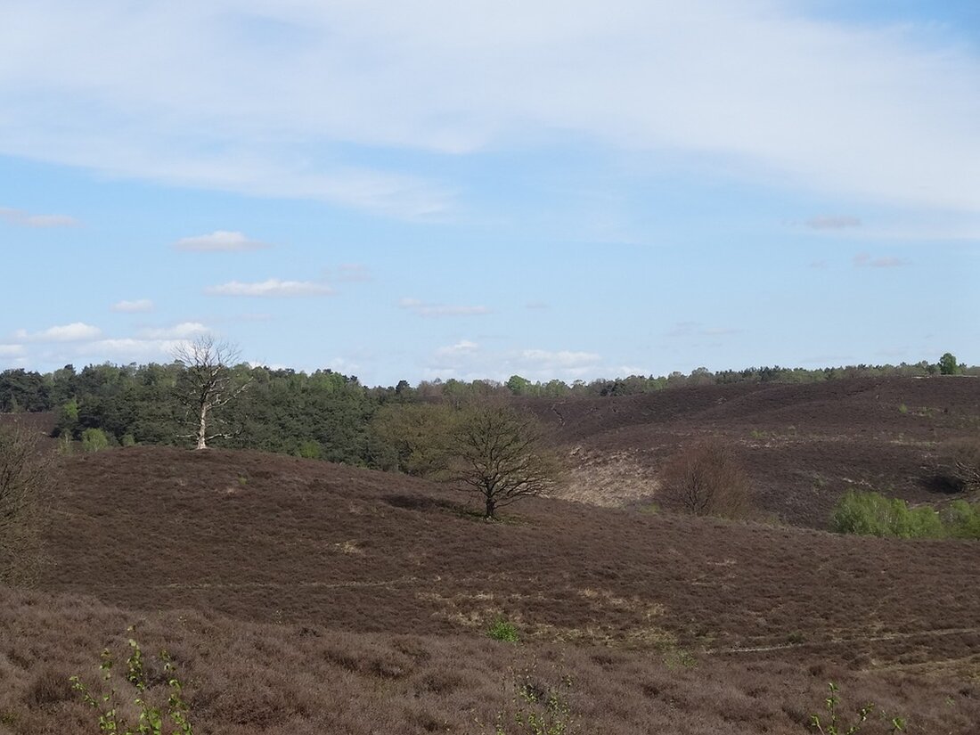 Gemäß einem Bericht von www.express.de, hat Ramona Pop, Chefin des Bundesverbands der Verbraucherzentralen, den geplanten großflächigen Filialabbau bei der Postbank kritisiert. Die geplante Schließung von mehr als der Hälfte der Filialen werde von ihr als „blanker Hohn“ für die Kunden wahrgenommen. Die Deutsche Bank, zu der die Postbank gehört, plant in den nächsten zwei Jahren die Schließung von bis zu 250 der derzeit 550 Postbank-Filialen. Dieser Schritt kommt inmitten massiver und anhaltender Probleme beim Online-Banking der Postbank, die in den vergangenen Monaten auftraten. Kunden konnten teilweise nicht auf ihre Konten zugreifen, der Kundenservice war schwer erreichbar. Die Verbraucherzentralen haben seit …