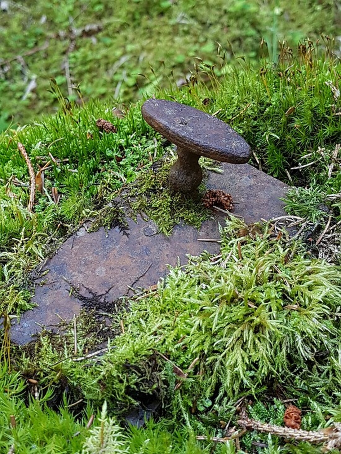 Gemäß einem Bericht von www.heise.de, plant Hewlett Packard Enterprise (HPE) die Übernahme des Mitbewerbers Juniper Networks für 14 Milliarden US-Dollar. Diese Übernahme könnte den Netzwerkmarkt für Unternehmenskunden, Serviceprovider und Cloud-Anbieter erheblich verändern. Durch die Übernahme dürfte sich der Marktanteil erheblich zugunsten von HPE entwickeln, was Auswirkungen auf die Wettbewerbssituation haben könnte. Angesichts des gut laufenden Netzwerkmarktes und der zunehmenden Vernetzung im IoT ist nicht mit einem Abklingen des Marktes zu rechnen. Die Cloud-Angebote von Juniper mit dem KI-Assistenten „MIST AI“ passen gut zu HPE Aruba. Dies könnte eine Konkurrenz zu Ciscos Meraki-Angeboten aus der Cloud darstellen und Marktanteile verschieben. Erwartet …