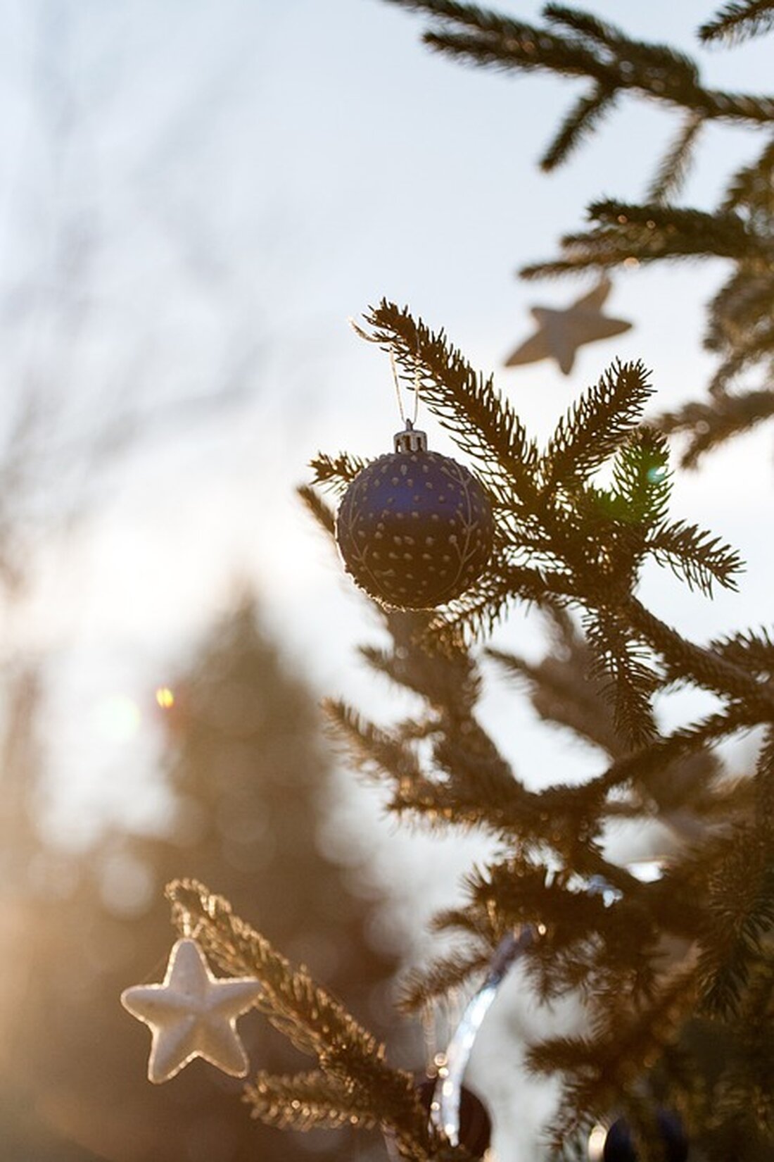 Gemäß einem Bericht von www.faz.net, haben die Verbraucherzentralen ein neues Onlineangebot entwickelt, um Verbrauchern bei Problemen mit Post- und Paketdienstleistungen zu helfen. Das Programm ermöglicht es Verbrauchern, Unregelmäßigkeiten wie nicht zugestellte Pakete oder beschädigte Sendungen zu melden und Informationen über ihre Rechte zu erhalten. Als Experte auf dem Gebiet des Verbraucherschutzes kann ich bestätigen, dass ungelöste Probleme mit Post- und Paketdienstleistungen für Verbraucher äußerst ärgerlich sein können. Durch das neue Onlineprogramm der Verbraucherzentralen erhalten Verbraucher nicht nur eine Plattform, um ihre Beschwerden zu melden, sondern auch rechtliche Einschätzungen zu ihren Problemen und Anleitungen, wie sie ihre Rechte geltend machen können. …