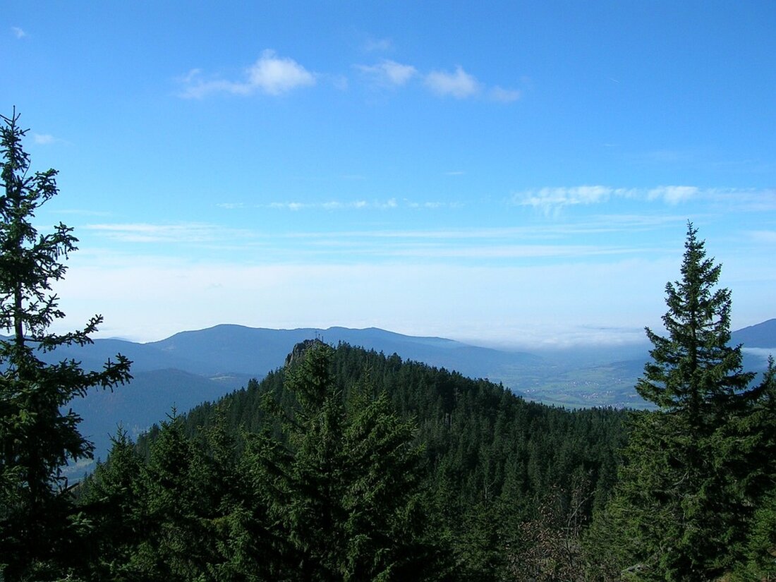 Gemäß einem Bericht von www.faz.net, steht der Agrar- und Pharmakonzern Bayer nach einer Rekordstrafe bei den Glyphosat-Prozessen in den USA unter Druck. Die Anleger reagierten besorgt und die Aktien fielen um mehr als fünf Prozent auf den tiefsten Stand seit knapp zwei Monaten. Dieser Artikel skizziert die Lage und die Entwicklungen bei Bayer inmitten der andauernden Glyphosat-Prozesse. Das Unternehmen hatte zuvor eine Niederlage bei den Glyphosat-Prozessen erlitten und muss eine Strafe von 2,25 Milliarden Dollar zahlen. Dies stellte den bisher höchsten Betrag dar, der gegen den Konzern verhängt wurde. Nach Einschätzungen von Finanzexperten dürfte Bayer vor schwierigen Entscheidungen stehen. Die …