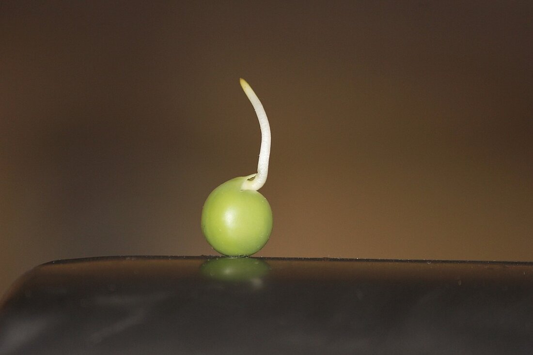 Gemäß einem Bericht von www.finanzen.net, Der Chipentwickler Arm verzeichnet einen rapiden Anstieg des Aktienkurses nach der Bekanntgabe seiner Quartalszahlen und des Ausblicks für das laufende Quartal. Arm profitiert zunehmend vom steigenden Bedarf an Chips mit Arm-Architektur, der durch den verstärkten Einsatz von KI-Technologie angetrieben wird. Die Umsatzprognose für das aktuelle Quartal übertrifft die Erwartungen der Analysten erheblich, was zu einem massiven Anstieg des Aktienkurses führt. Im dritten Quartal meldete Arm Erlöse in Höhe von 824 Millionen US-Dollar, was über den eigenen Erwartungen und denen der Analysten lag. Dies zeigt, dass die Nachfrage nach Arm-Chips sowohl im Mobilbereich als auch im &hellip;