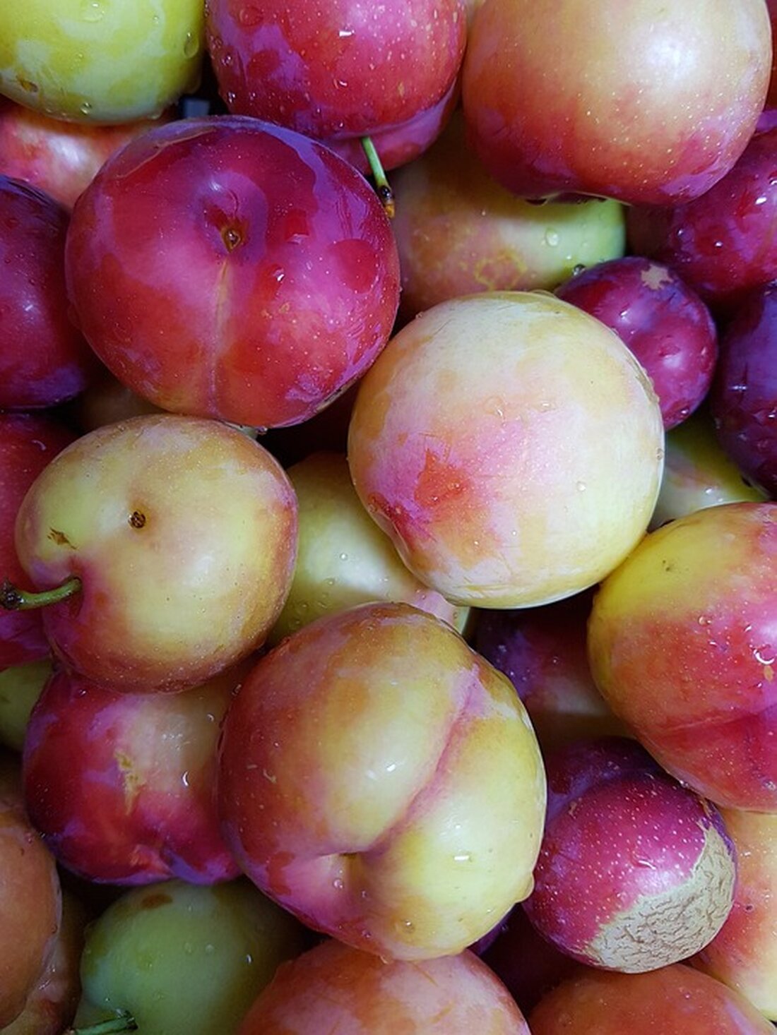 Gemäß einem Bericht von www.finanzen.net, Die Jahresendrally 2023 war beeindruckend, sowohl der DAX als auch der Dow Jones und der S&P 500 verzeichneten deutliche Kursgewinne. Nun, zu Beginn des neuen Jahres, sind einige Beobachter optimistisch, dass die Aufwärtsbewegung bald wieder aufgenommen wird. Die Renditen der US-Staatsanleihen sind in den letzten Monaten deutlich gesunken, was auf sinkende Inflationsraten und die Erwartung zukünftiger Zinssenkungen hindeutet. Diese Entwicklungen könnten erhebliche Auswirkungen auf den Aktienmarkt, Verbraucher und die Wirtschaft insgesamt haben. Die Renditen der US-Staatsanleihen fungieren als Gradmesser für den Zins- und Anleihenmarkt und beeinflussen die Attraktivität von Aktieninvestitionen. Sinkende Renditen machen Aktien attraktiver, …