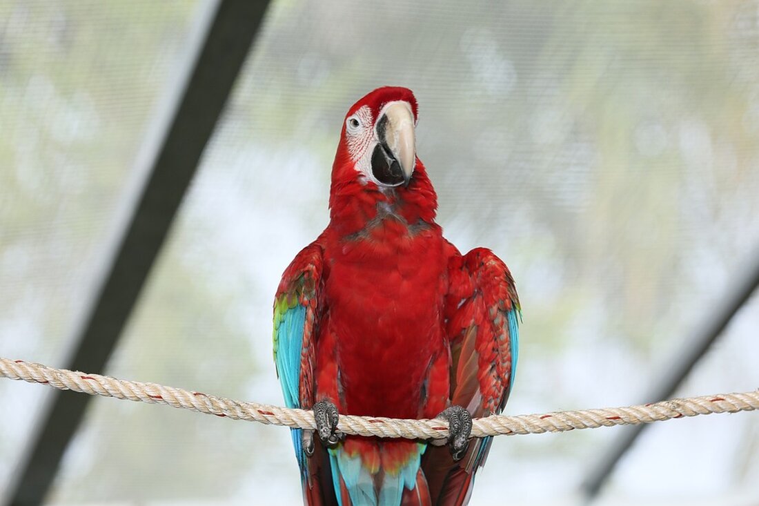 Gemäß einem Bericht von www.welt.de, Die Belastung der Betriebe in Deutschland ist inzwischen «weltrekordverdächtig». So sagt es der Handwerkspräsident. Das hat auch Auswirkungen auf Auftraggeber. Das Handwerk in Deutschland erwartet ein schwieriges Jahr – mit Folgen auch für Verbraucherinnen und Verbraucher. Die Kosten für Handwerksleistungen werden voraussichtlich steigen, da sich die Betriebskosten erhöhen. Zudem wird erwartet, dass Betriebe weniger Aufträge annehmen, wenn sie dabei Verluste erwirtschaften. Dies wird sich auch auf die Wartezeiten für die Verbraucher auswirken, die sich vermutlich verlängern werden. Darüber hinaus haben auch die sinkenden Baugenehmigungen, teure Baumaterialien und stark gestiegene Zinsen negative Auswirkungen auf das Handwerk. …