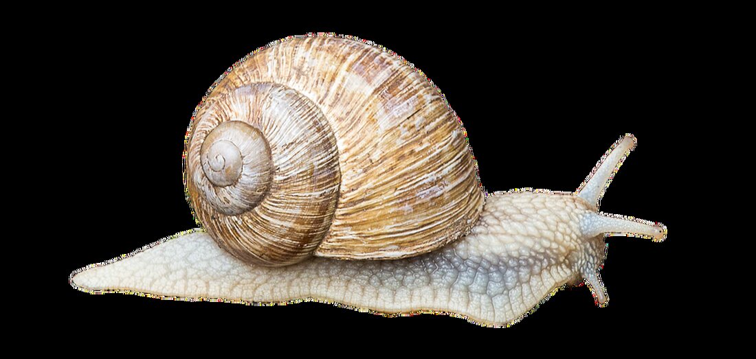 Gemäß einem Bericht von www.deutschlandfunk.de, Seit Mitte Dezember 2021 haben Verbraucher ein Preis-Minderungsrecht, wenn ihr heimisches Internet schlechter ist als vertraglich zugesichert. In einem Messtool der Bundesnetzagentur, www.breitbandmessung.de, müssen sie die Diskrepanz zwischen vertraglich versprochener und tatsächlicher Datenrate nachweisen. Der Verbraucherzentrale Bundesverband (VZBV) fordert eine pauschale Reduktion des Tarifes um 15 Euro pro Monat, bis das Defizit behoben ist. Allerdings ist der Branchenverband VATM gegen eine pauschale Tarifreduktion und argumentiert, dass der Einzelfall betrachtet werden müsse, da die am Markt verfügbaren Verträge sehr unterschiedliche Leistungen enthielten. Internetanbieter wie Vodafone und die Deutsche Telekom betonen, dass sie viel Geld in ihr …