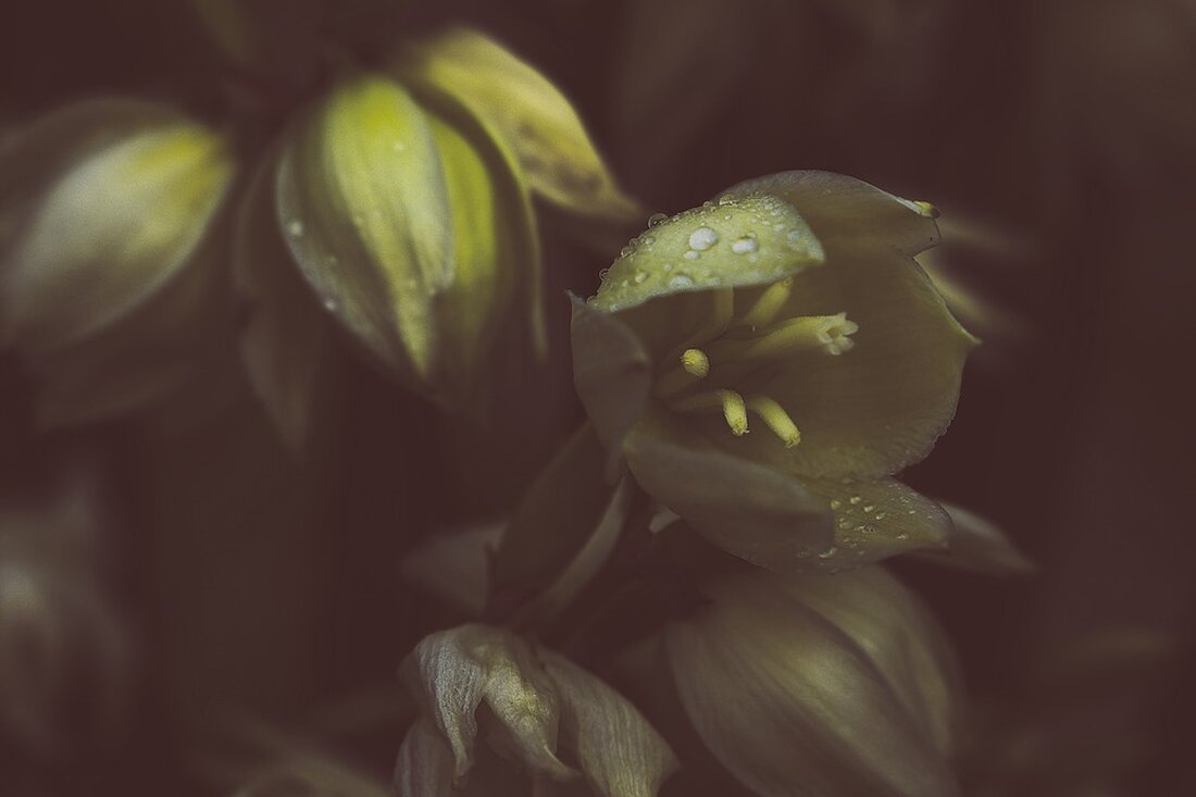 Gemäß einem Bericht von www.tagesschau.de, gibt es einen MINT-Herbstreport des Instituts der deutschen Wirtschaft IW, der aufzeigt, dass in MINT-Berufen fast 300.000 Arbeitskräfte fehlen, darunter sowohl Akademiker als auch Facharbeiter. Der Bericht verdeutlicht, dass der Bedarf an diesen Arbeitskräften weiter steigen wird. Die größten Lücken bestehen in den Energie- und Elektroberufen, und es wird erwartet, dass der Bedarf an MINT-Kräften aufgrund der demografischen Entwicklung in den kommenden Jahren deutlich steigen wird. Die Tatsache, dass der Bedarf an MINT-Fachkräften weiter wächst, während gleichzeitig die Zahl der Studienanfänger und das Kompetenzniveau in Mathematik bei Schülern sinken, kann zu einer verstärkten Fachkräftelücke führen. …
