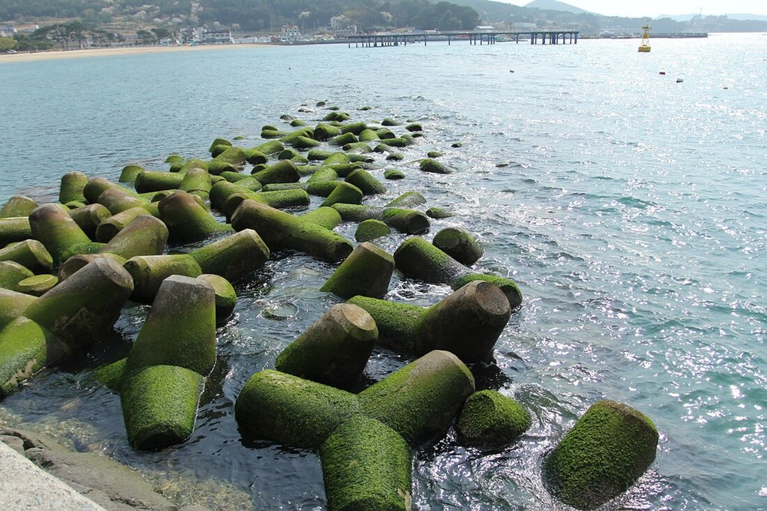 Gemäß einem Bericht von www.pnp.de, Nach einer rekordverdächtigen Rally am deutschen Aktienmarkt haben die Anleger zu Wochenbeginn Kasse gemacht. Der Dax schloss am Montag 0,60 Prozent tiefer bei 16.651 Punkten. Der MDax gab um 0,85 Prozent auf 26.904 Zähler nach. Allein von Ende Oktober bis zur Erreichung seines Rekordhochs von etwas über 17.000 Punkten hatte der Dax ein Plus von mehr als 16 Prozent verzeichnet, angetrieben von der Aussicht auf baldige Zinssenkungen. Nachdem diese Erwartungen von der Europäischen Zentralbank (EZB) jedoch etwas gedämpft wurden, ging dem hiesigen Aktienmarkt vorerst die Luft aus. Analyse und Auswirkungen: Die Kursverluste sind hauptsächlich auf …