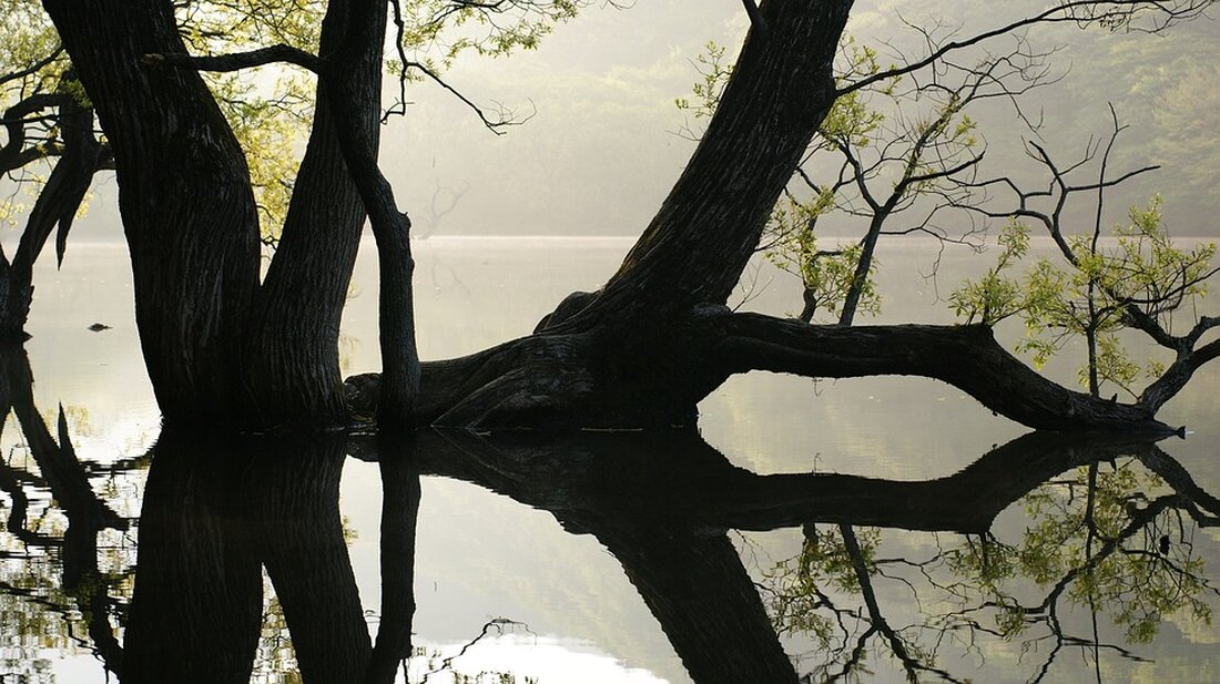 Gemäß einem Bericht von www.merkur.de, gibt es verschiedene Aspekte zu beachten, wenn es um Risikolebensversicherungen geht. Diese Versicherungsform dient der Absicherung von Hinterbliebenen im Falle des Todes der versicherten Person. Die Versicherungssumme wird an die Hinterbliebenen ausgezahlt, um finanzielle Verpflichtungen wie z.B. die Tilgung gemeinsamer Kredite abzudecken. Die Kosten für eine Risikolebensversicherung hängen von verschiedenen Faktoren ab, wie z.B. der vereinbarten Todesfallsumme, der Laufzeit, dem Eintrittsalter und dem Gesundheitszustand des Versicherten. Preisunterschiede bestehen auch im Kleingedruckten der Policen, z.B. in Bezug auf eine mögliche Versicherungssummen-Erhöhung oder Laufzeitverlängerung. Es kann sich lohnen, eine Risikolebensversicherung frühzeitig abzuschließen, da mit steigendem Alter die …