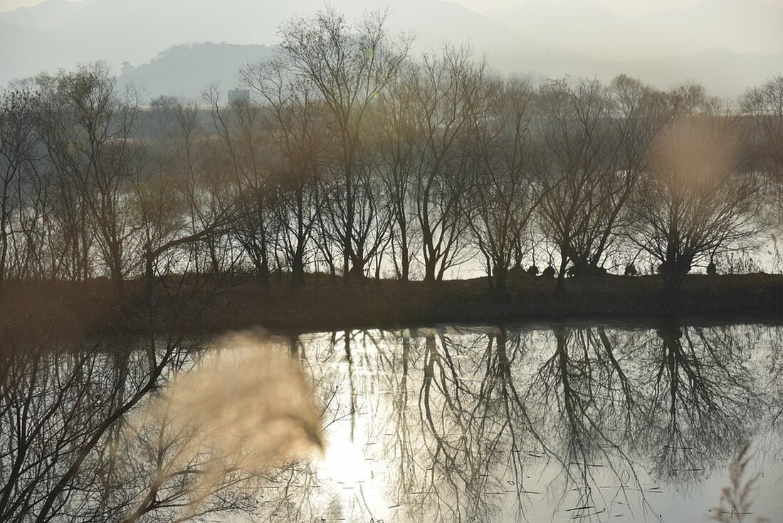 Gemäß einem Bericht von www.welt.de, arbeitet jeder vierte Erwerbstätige in Deutschland seit der Pandemie zumindest teilweise im Homeoffice. Doch auch in den eigenen vier Wänden gelten Regeln, die eingehalten werden sollten, um rechtliche Konsequenzen zu vermeiden. Das Arbeiten im Homeoffice kann verschiedene Auswirkungen auf den Markt und die Finanzbranche haben. Einerseits könnte ein verstärkter Trend zum Homeoffice zu Veränderungen in der Immobilienbranche führen, da Unternehmen möglicherweise weniger Büroflächen benötigen. Andererseits könnten vermehrte Arbeitszeiten von zu Hause aus zu einem höheren Bedarf an digitalen Lösungen und technologischen Tools führen, was wiederum bestimmte Unternehmen im Technologiesektor begünstigen könnte. Des Weiteren kann das …